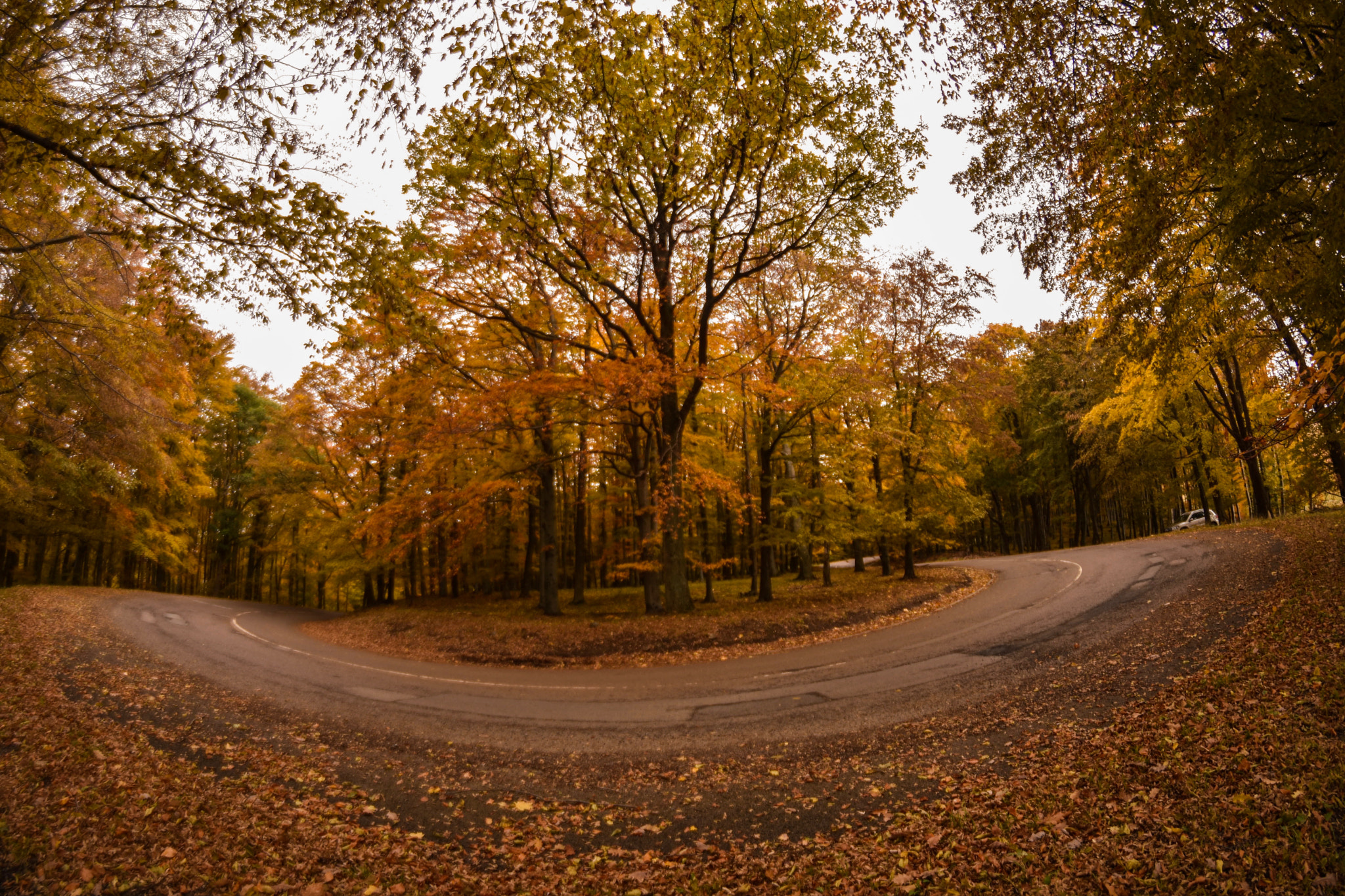 Nikon D7200 + Samyang 8mm F3.5 Aspherical IF MC Fisheye sample photo. I love this season photography
