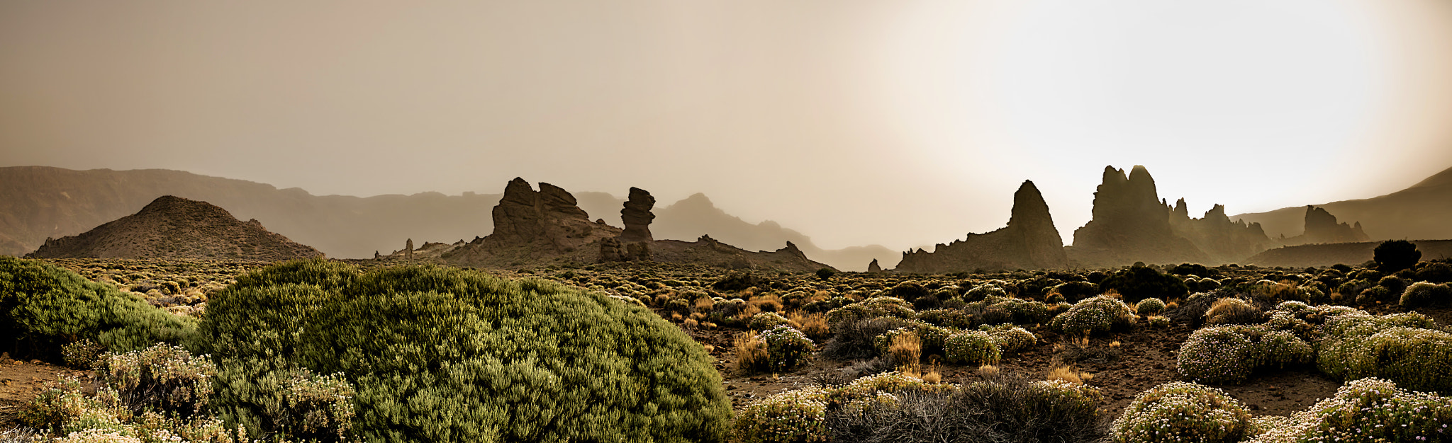 Canon EOS 750D (EOS Rebel T6i / EOS Kiss X8i) sample photo. Desert mood photography