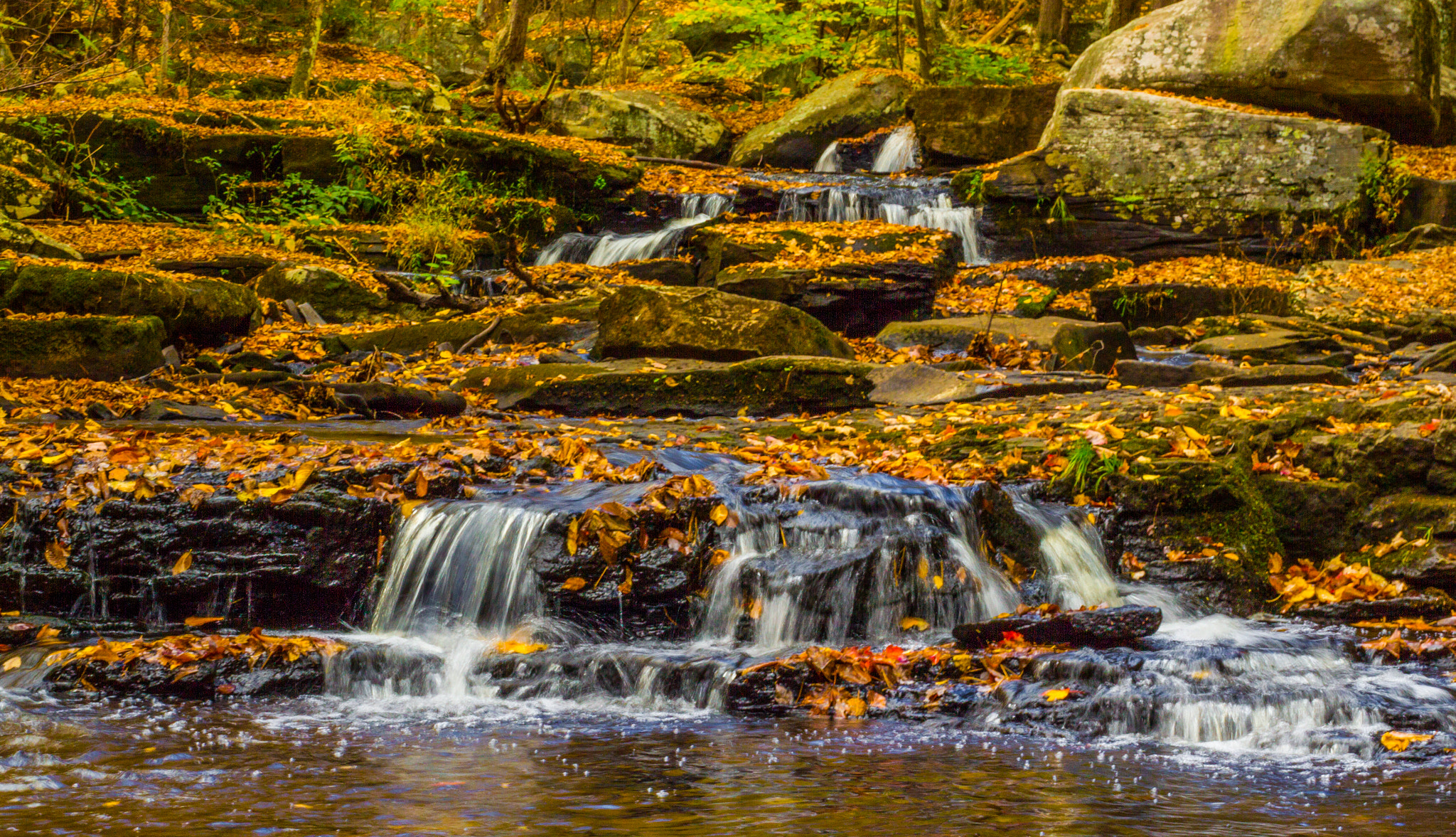 Canon EOS 550D (EOS Rebel T2i / EOS Kiss X4) sample photo. Fallen leaves cover minnie falls photography