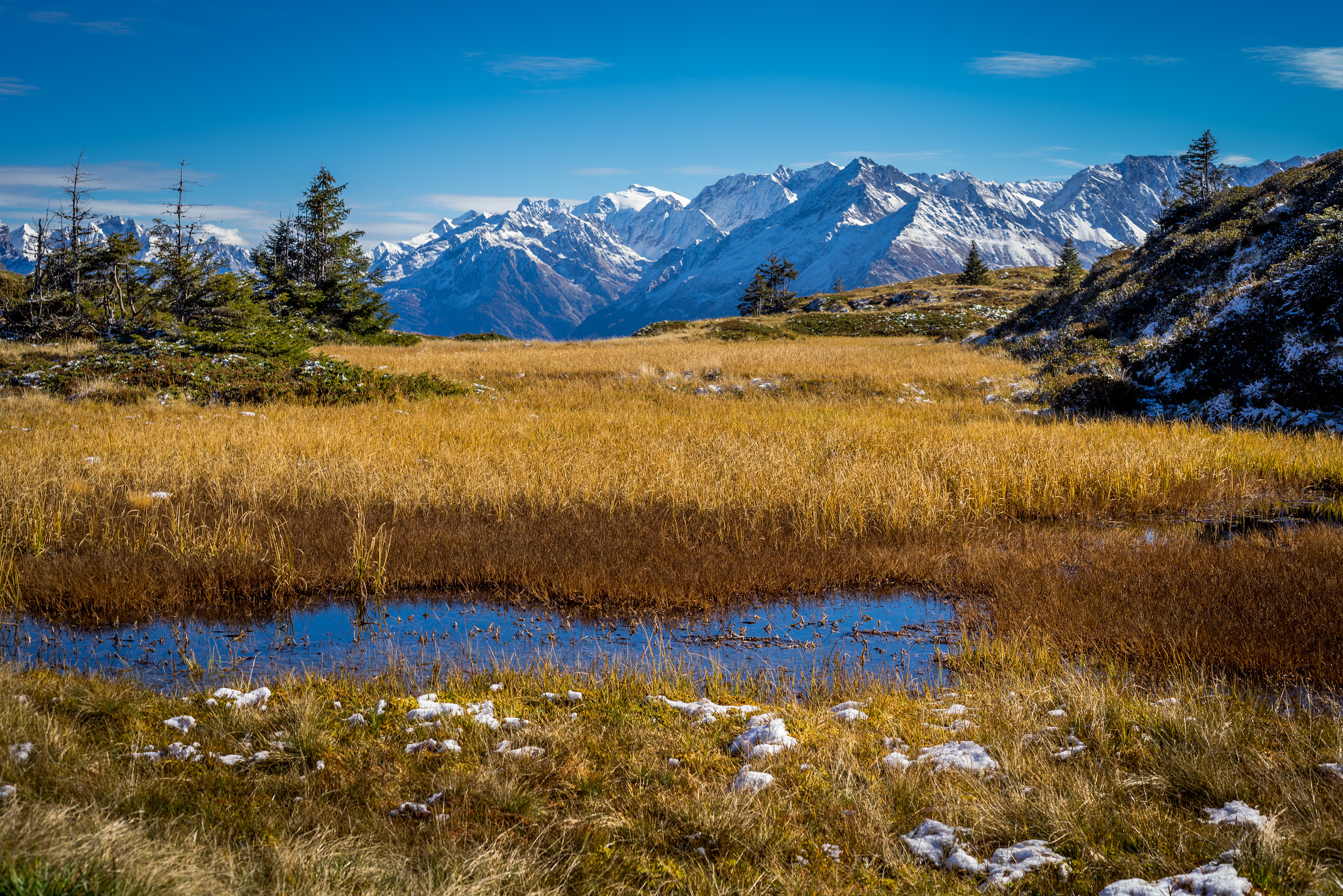 Sony a7R + Sony 70-400mm F4-5.6 G SSM sample photo. Hochmoor photography