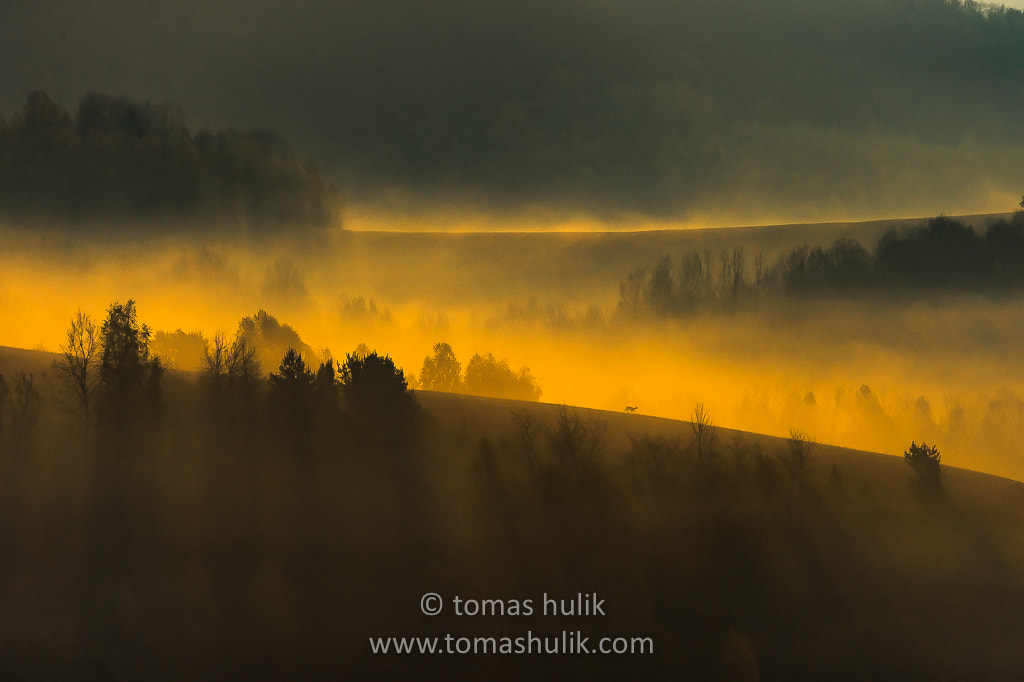 Nikon D4 sample photo. National park poloniny photography