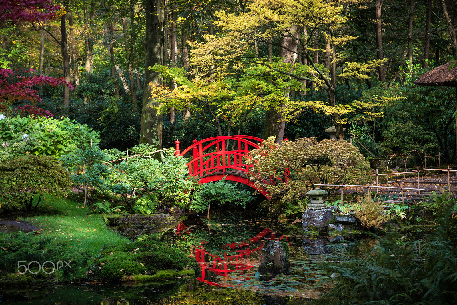 Samsung NX 16-50mm F2.0-2.8 S ED OIS sample photo. Japanese garden in park clingendael in the hague photography