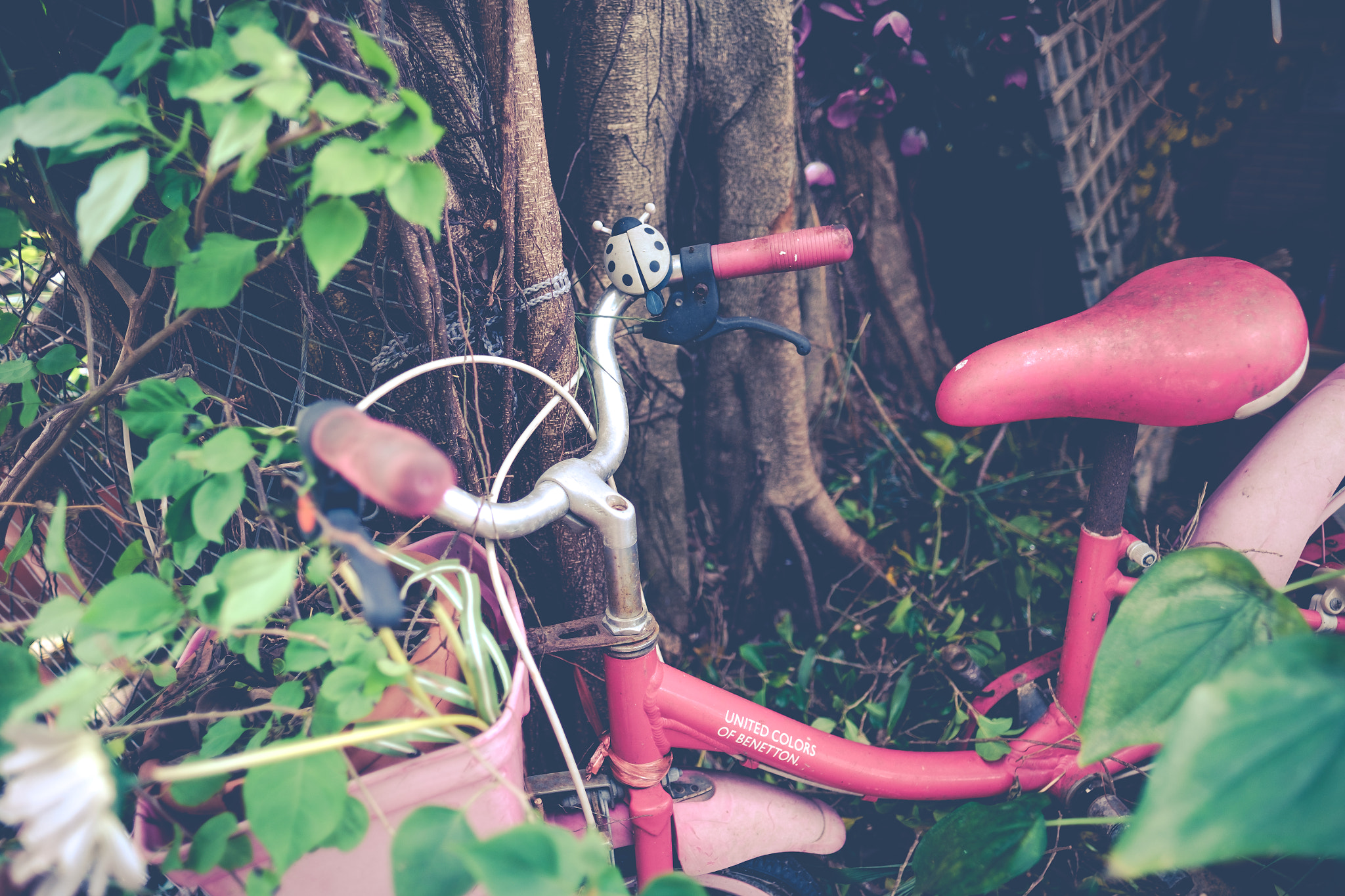 Fujifilm X-T10 + Fujifilm XF 16mm F1.4 R WR sample photo. Forgotten bicycle photography