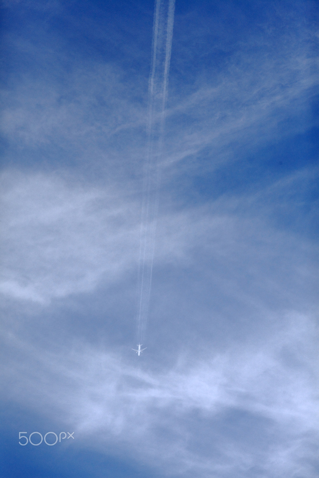 Canon EF 400mm F5.6L USM sample photo. Romantic flight photography