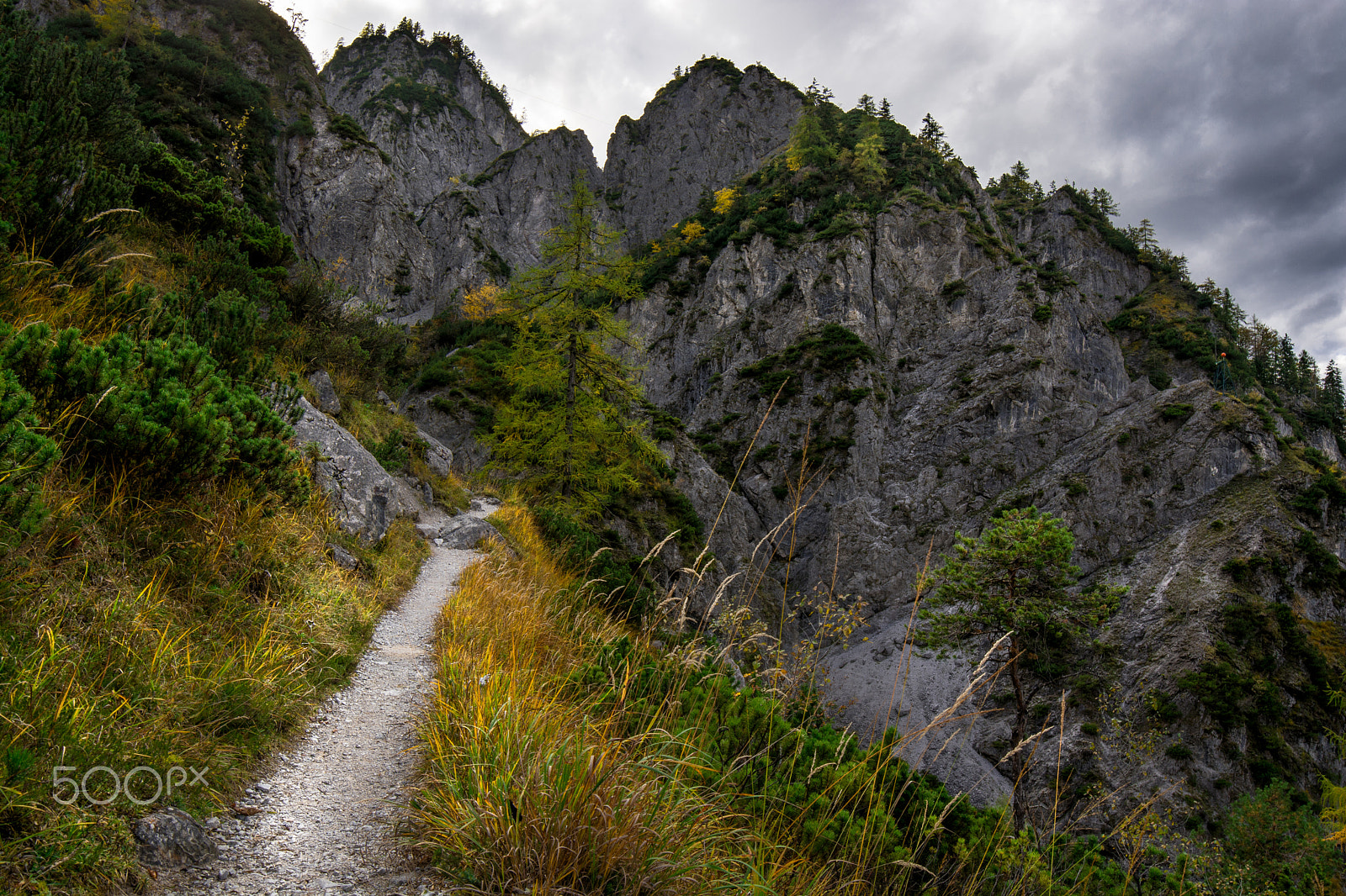 Samyang 14mm F2.8 ED AS IF UMC sample photo. The path photography