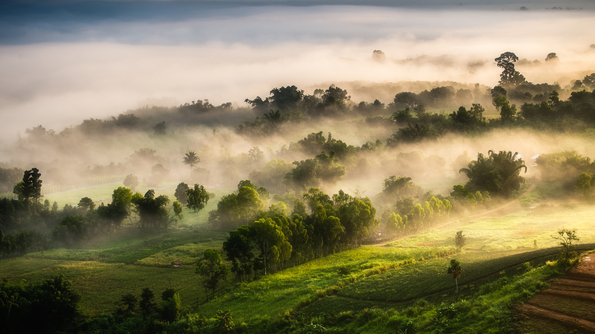 Fujifilm X-M1 + Fujifilm XC 50-230mm F4.5-6.7 OIS II sample photo. Mystic forest photography