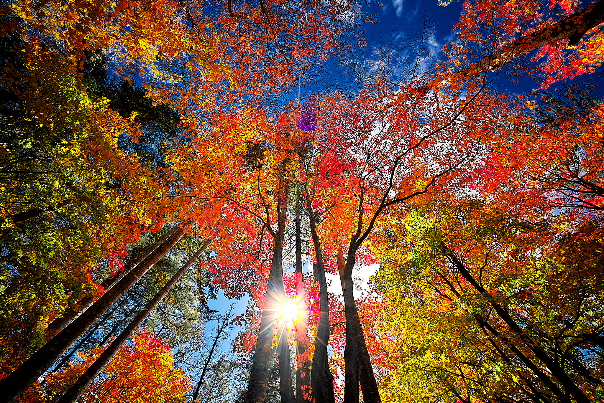 E 10mm F5.6 sample photo. Autumn in tokachi photography