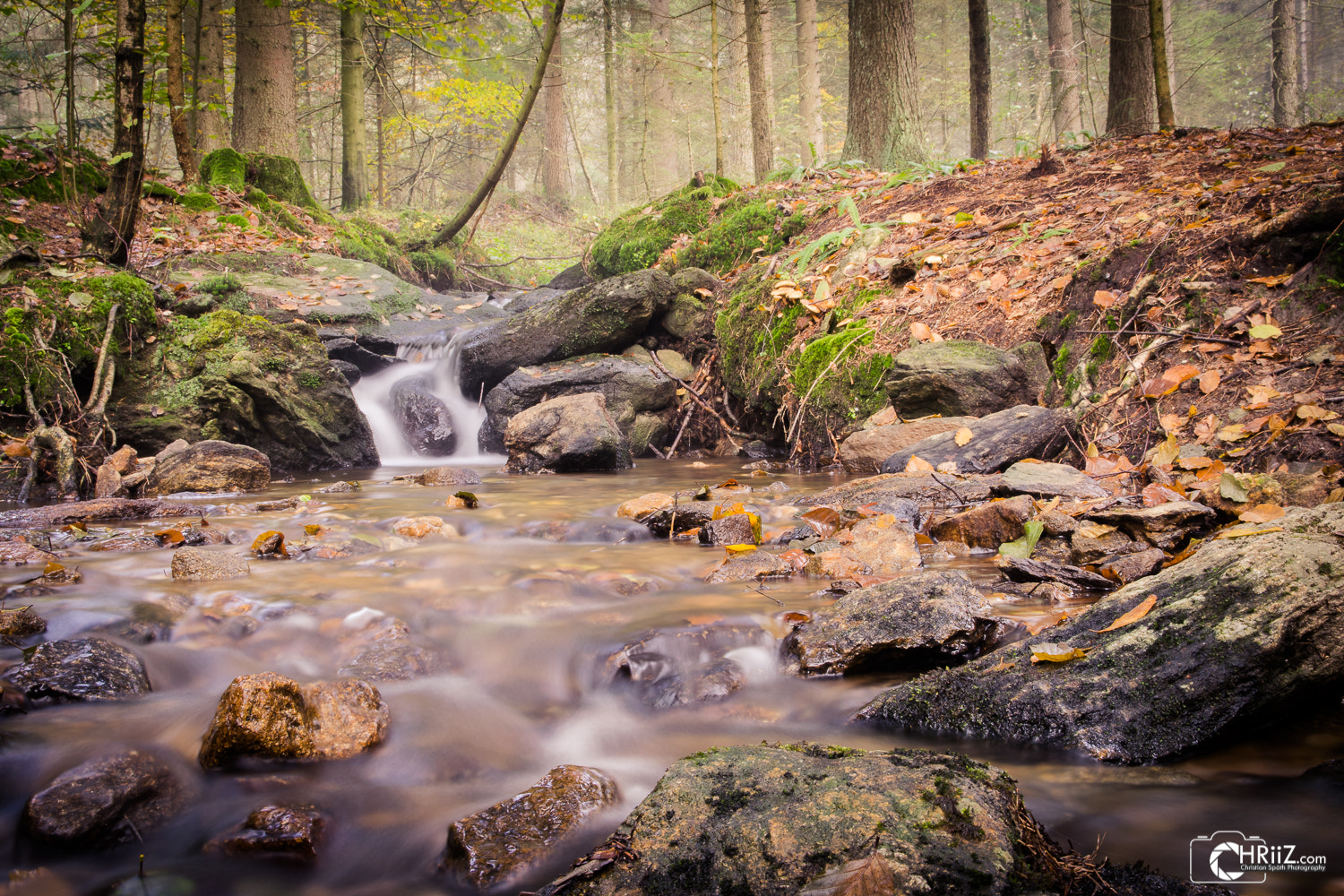 Sigma 17-70mm F2.8-4 DC Macro OS HSM | C sample photo. Autumn creek photography
