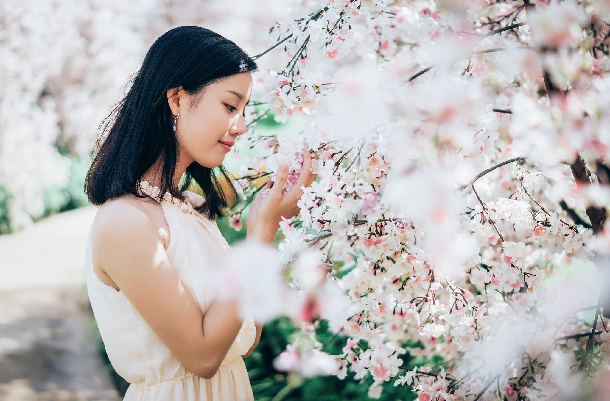 Sony SLT-A57 + Sony DT 50mm F1.8 SAM sample photo. Hinh chinh sua () photography