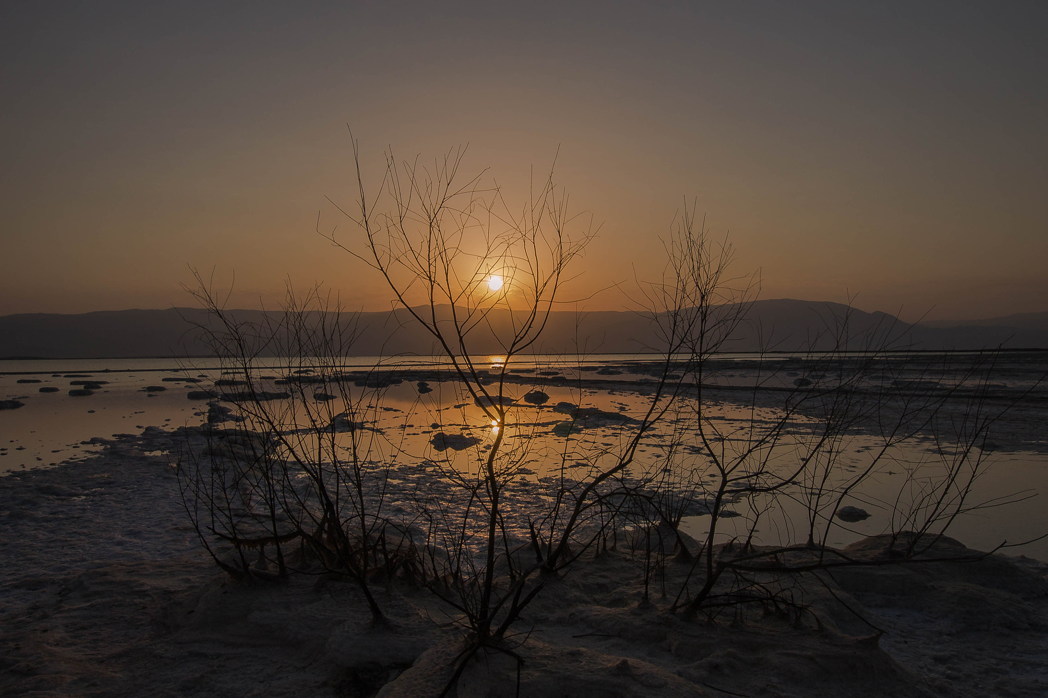 Sigma 10-20mm F3.5 EX DC HSM sample photo. Img photography