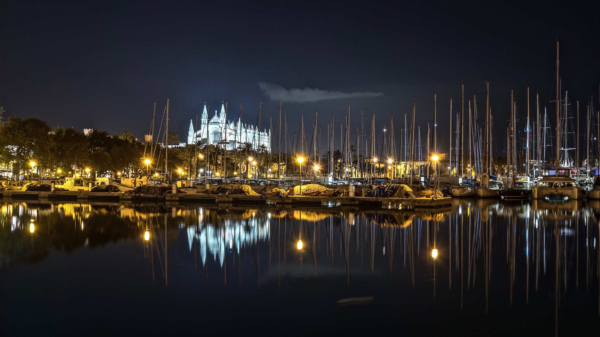 Nikon D500 sample photo. La seo photography