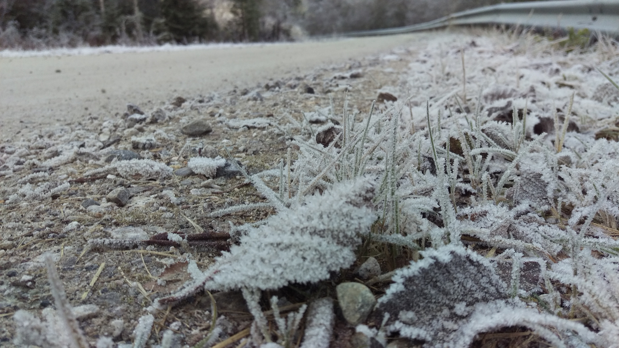 HTC M9 sample photo. Frost photography