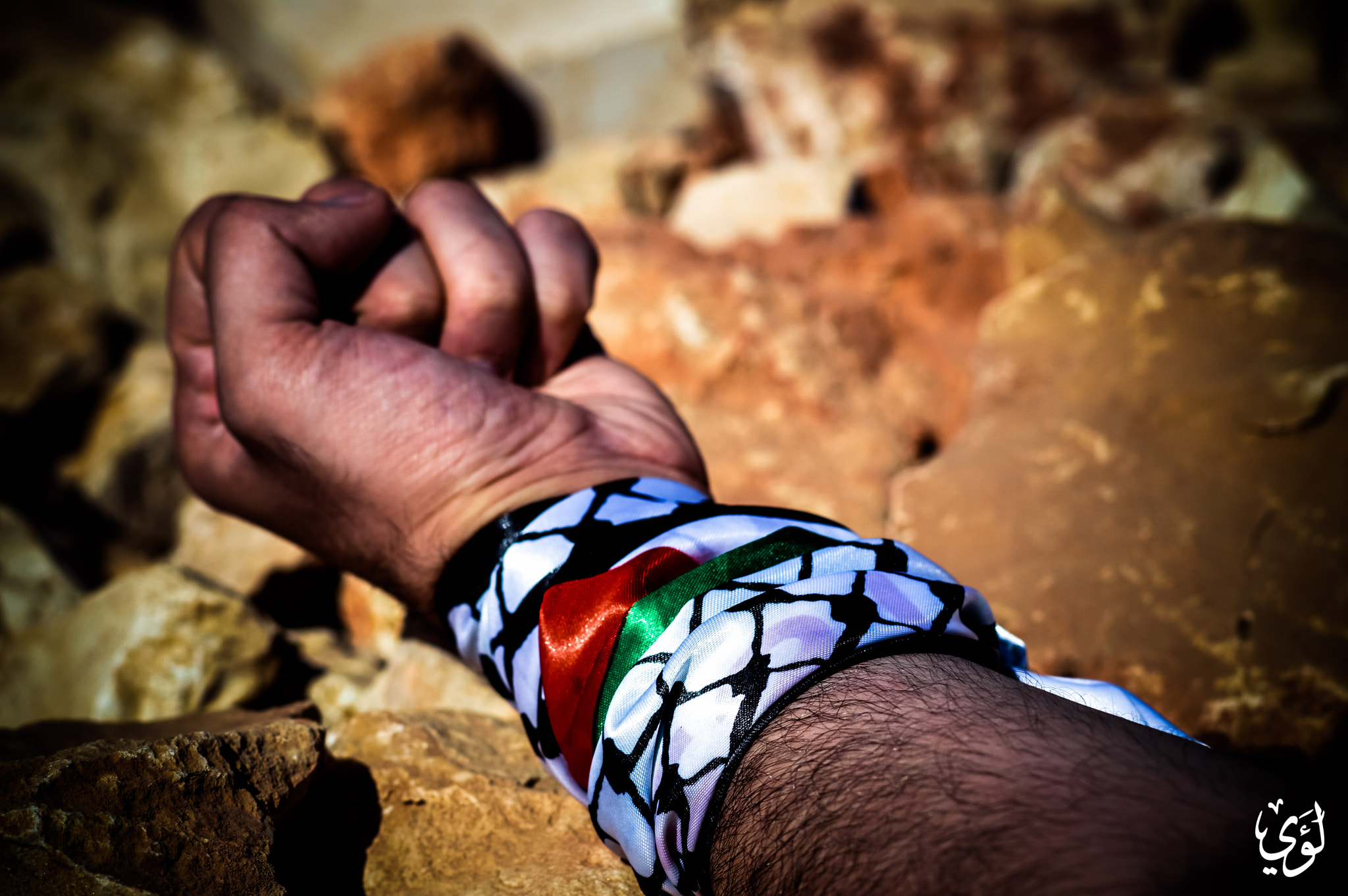 ZEISS Planar T* 85mm F1.4 sample photo. Palestinian, and proud photography