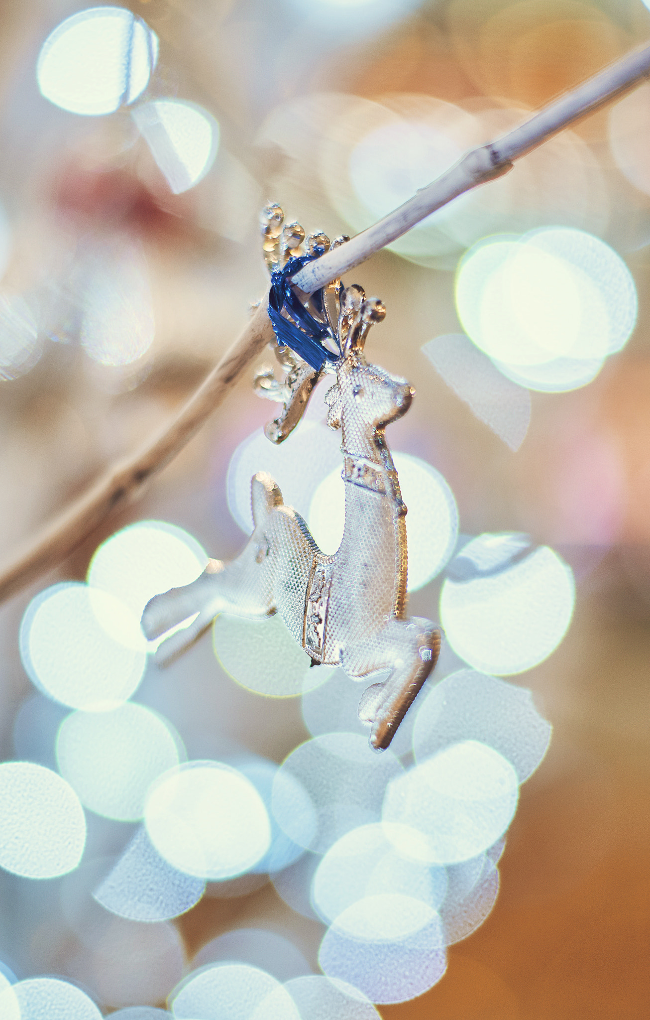 Sony SLT-A57 + Sony DT 50mm F1.8 SAM sample photo. Noel () photography