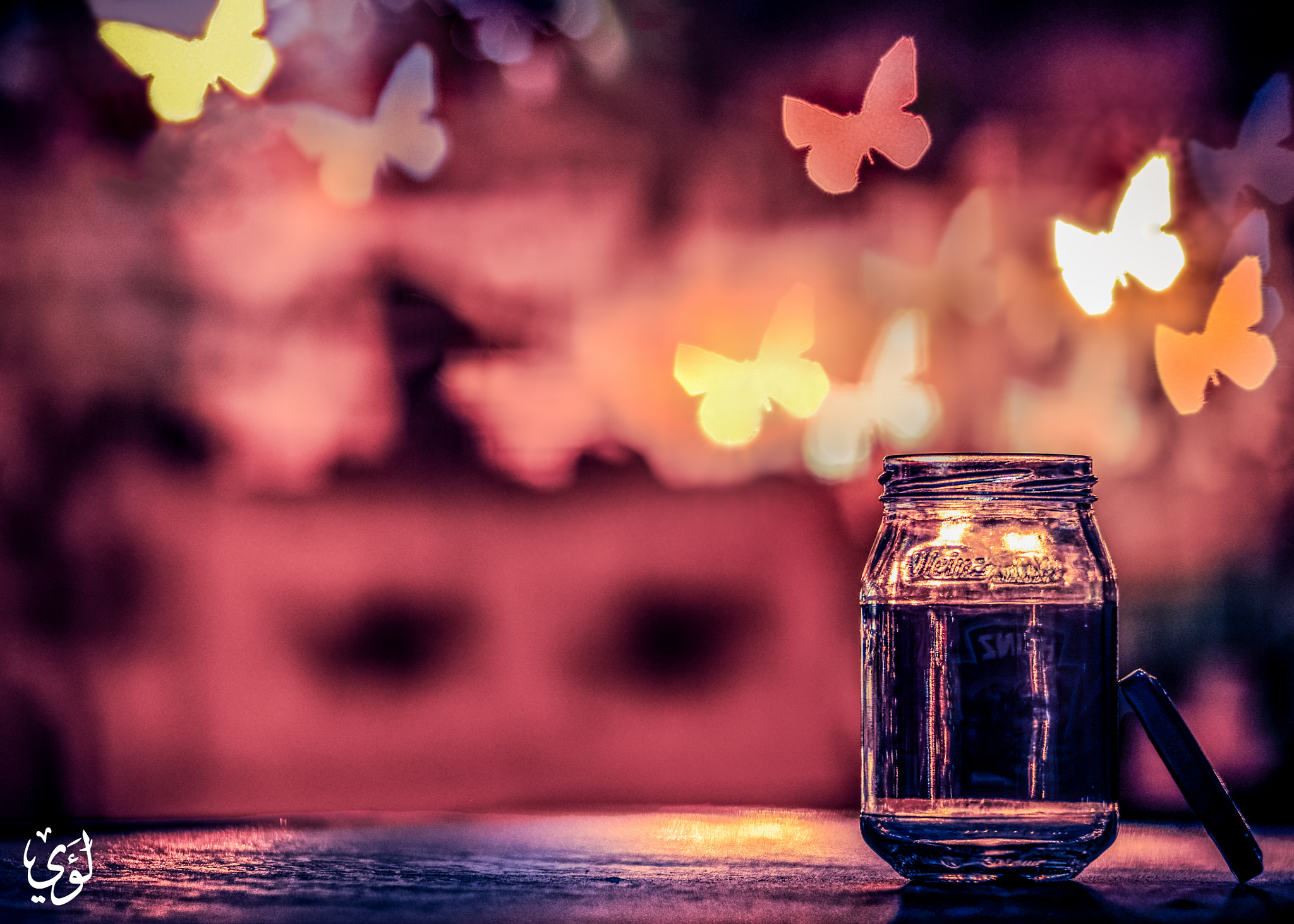 ZEISS Planar T* 85mm F1.4 sample photo. Butterfly catcher photography