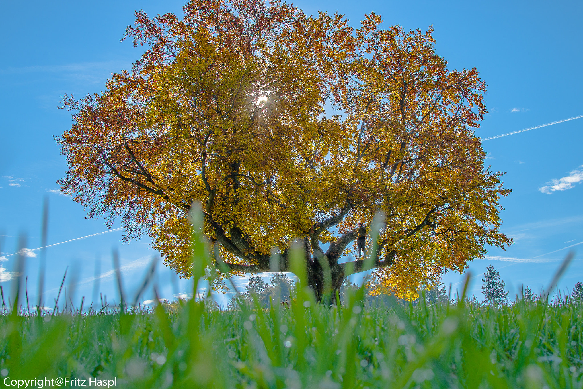 Nikon D800 + Nikon AF-S DX Nikkor 35mm F1.8G sample photo. Autumn day photography