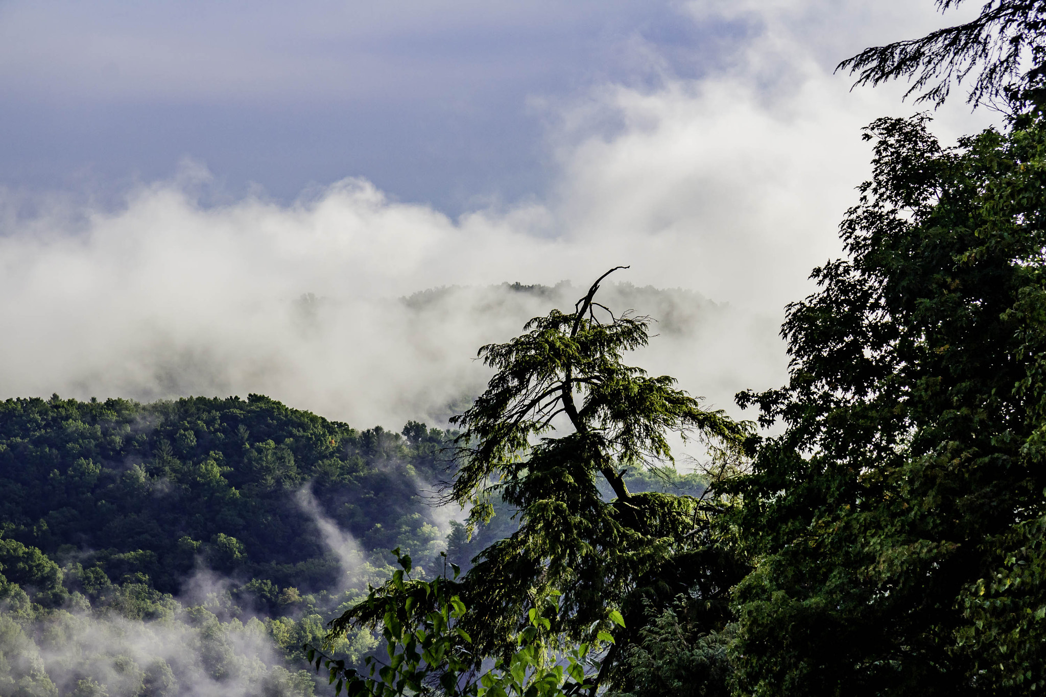 Canon EF-S 17-85mm F4-5.6 IS USM sample photo. Fog over the gennesse river photography