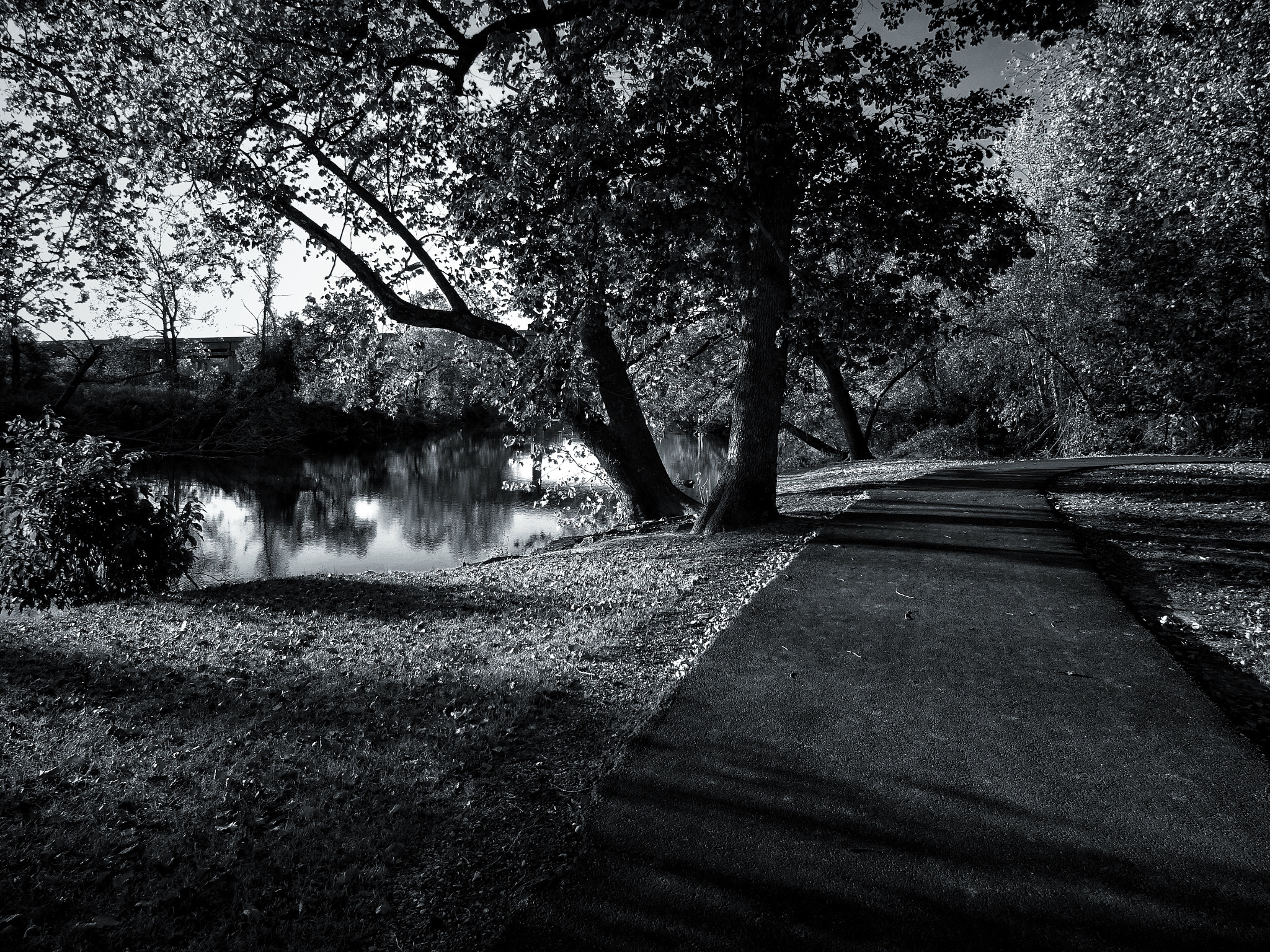 Sony 25-500mm F3.5-6.5 sample photo. Wildcat glade area in joplin missouri photography