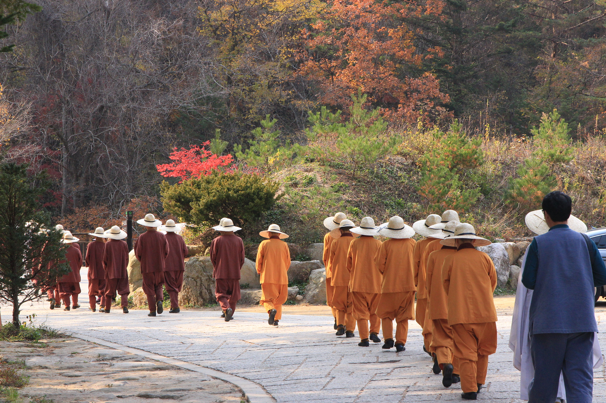 Canon EOS 650D (EOS Rebel T4i / EOS Kiss X6i) sample photo. Self-discipline photography