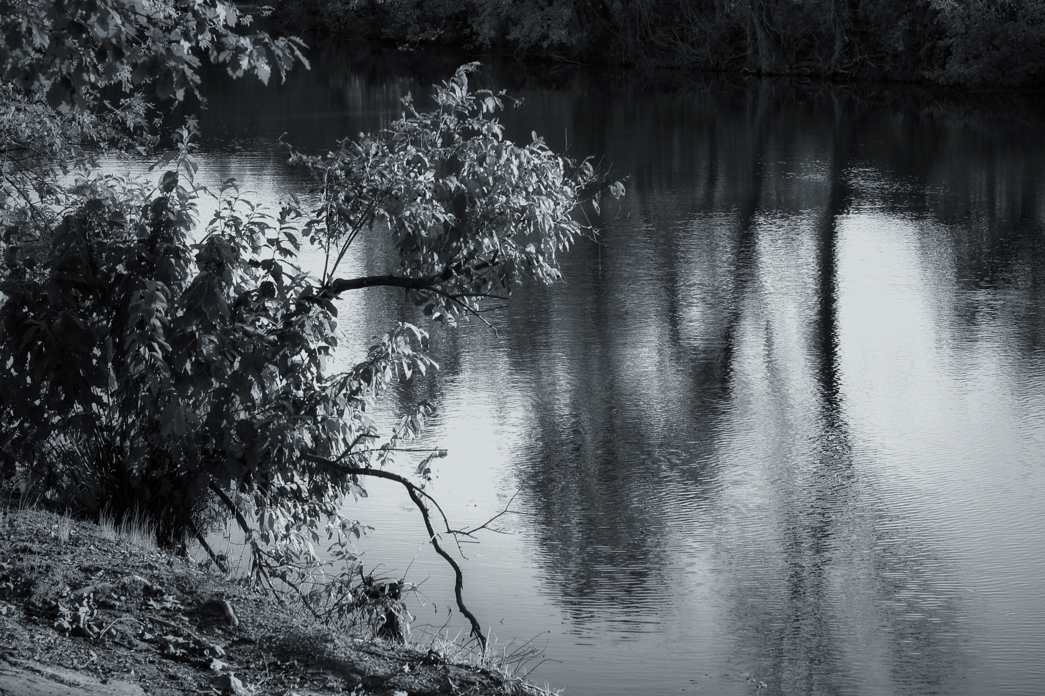 Canon EOS 1000D (EOS Digital Rebel XS / EOS Kiss F) sample photo. Reflection on the river photography