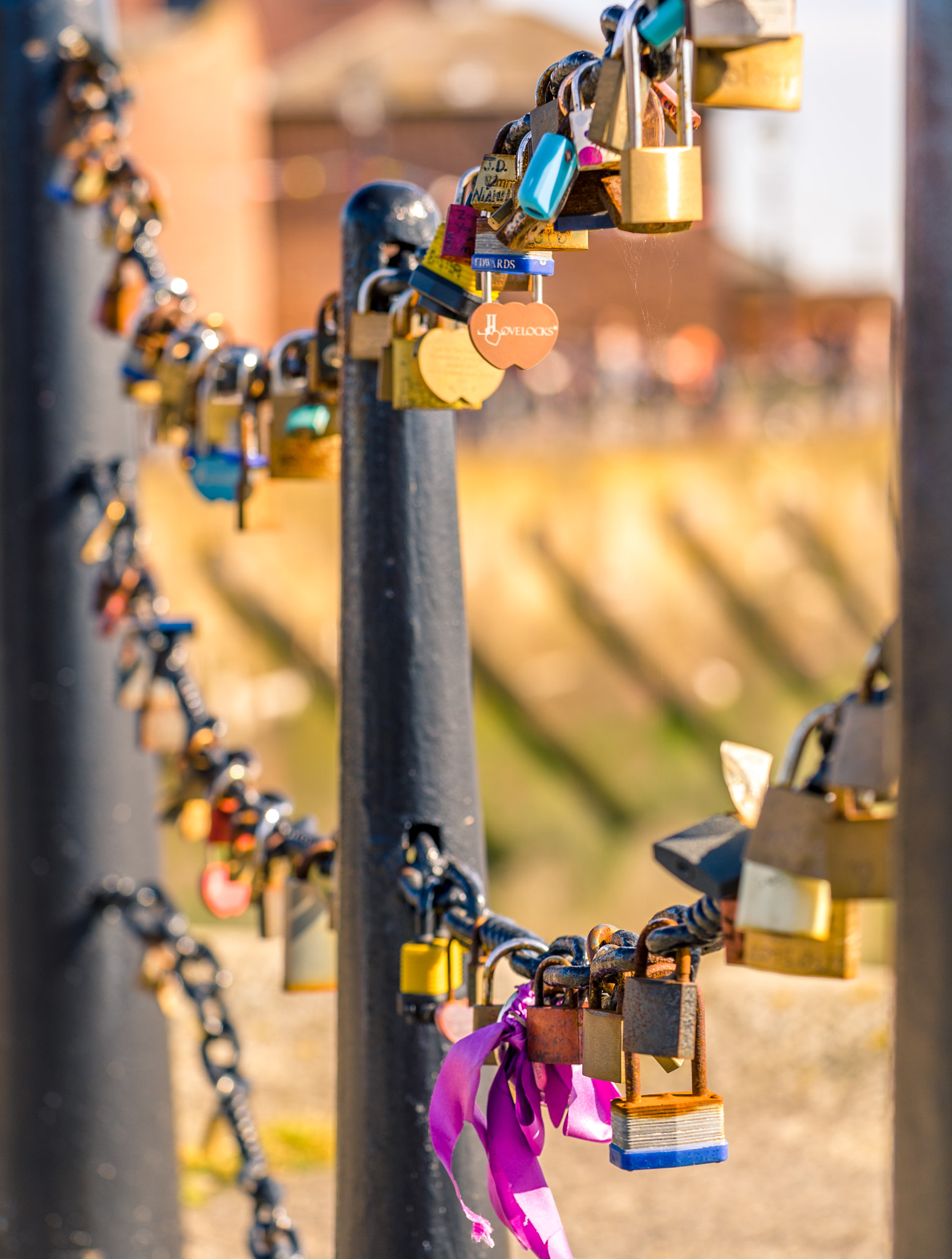 Sony a7S + Sony FE 90mm F2.8 Macro G OSS sample photo. Love locks photography