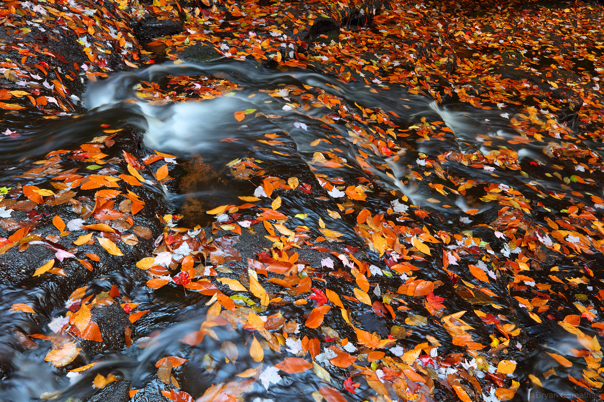 Canon EF 16-35mm F2.8L III USM sample photo. Don't forget to look down! photography