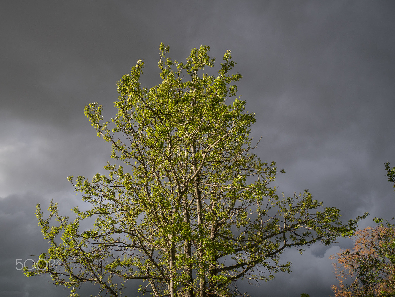 Panasonic DMC-GM1S + Panasonic Lumix G Vario HD 12-32mm F3.5-5.6 Mega OIS sample photo. Stormy photography