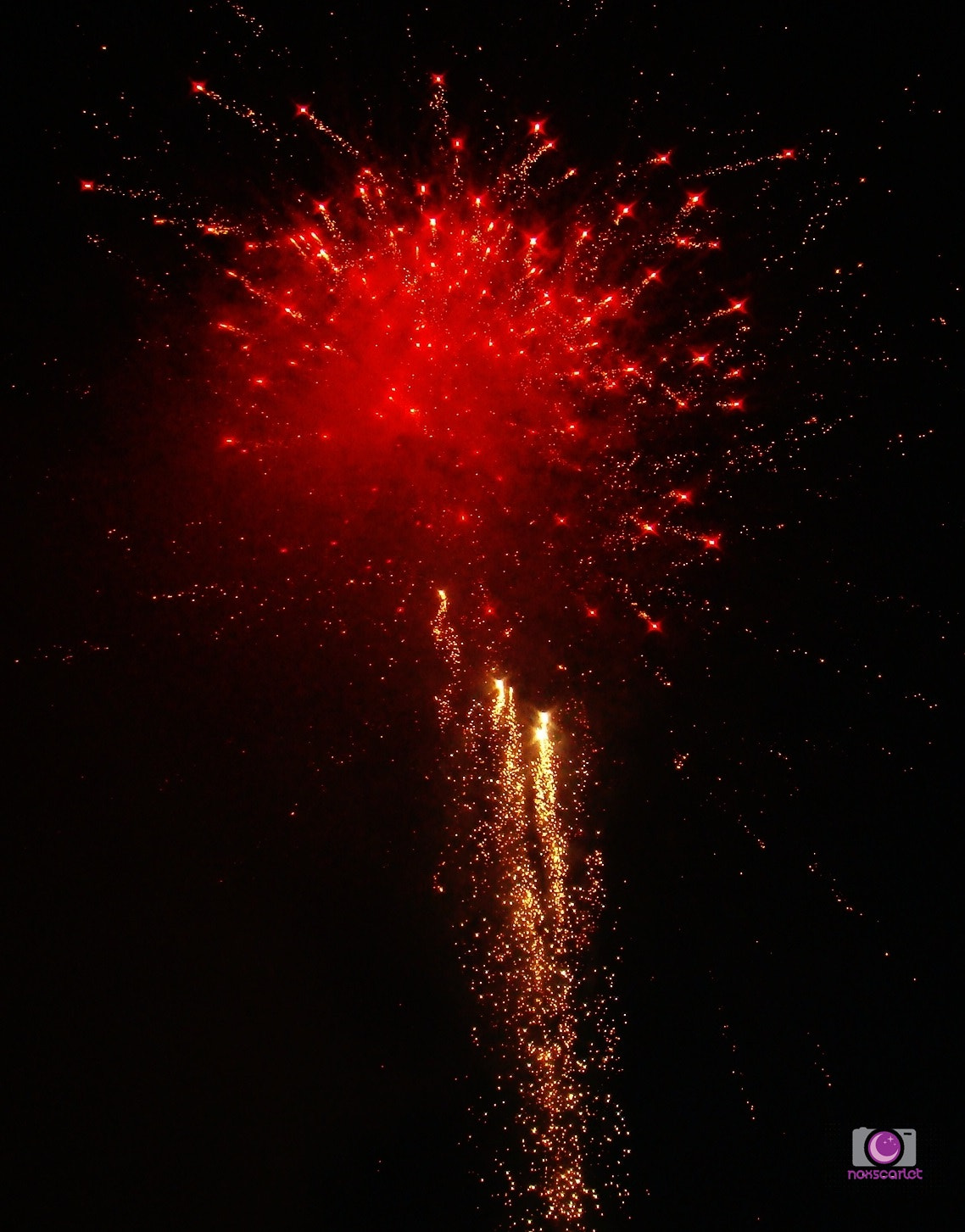 Sony DSC-T200 sample photo. Firework photography