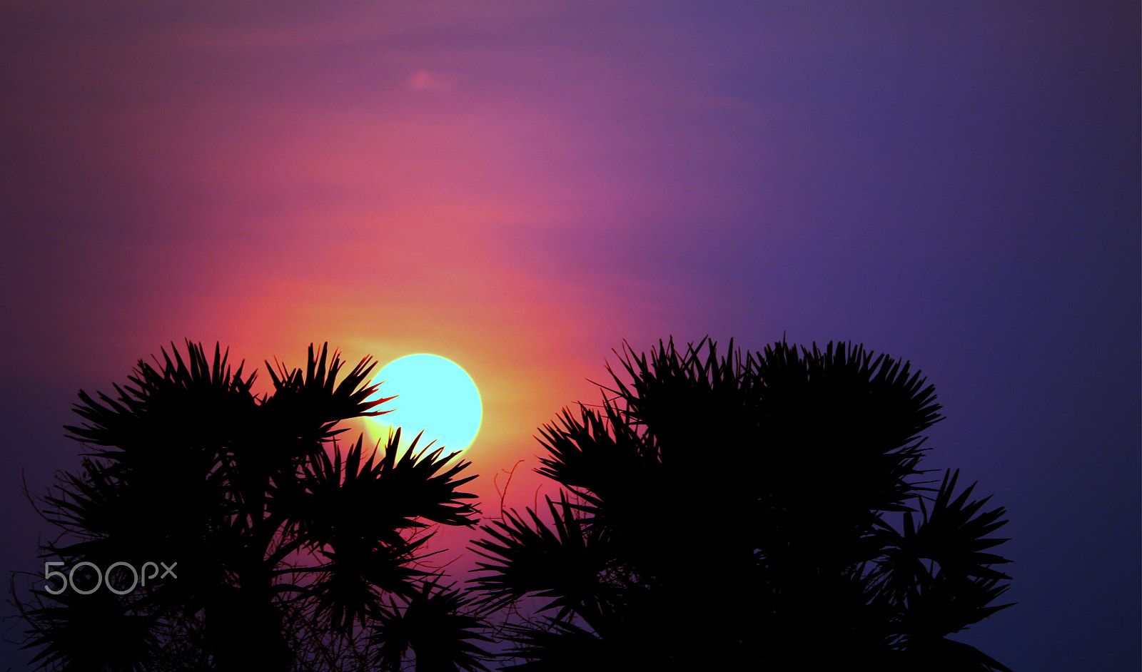 Canon EF-S 55-250mm F4-5.6 IS STM sample photo. Sun set photography