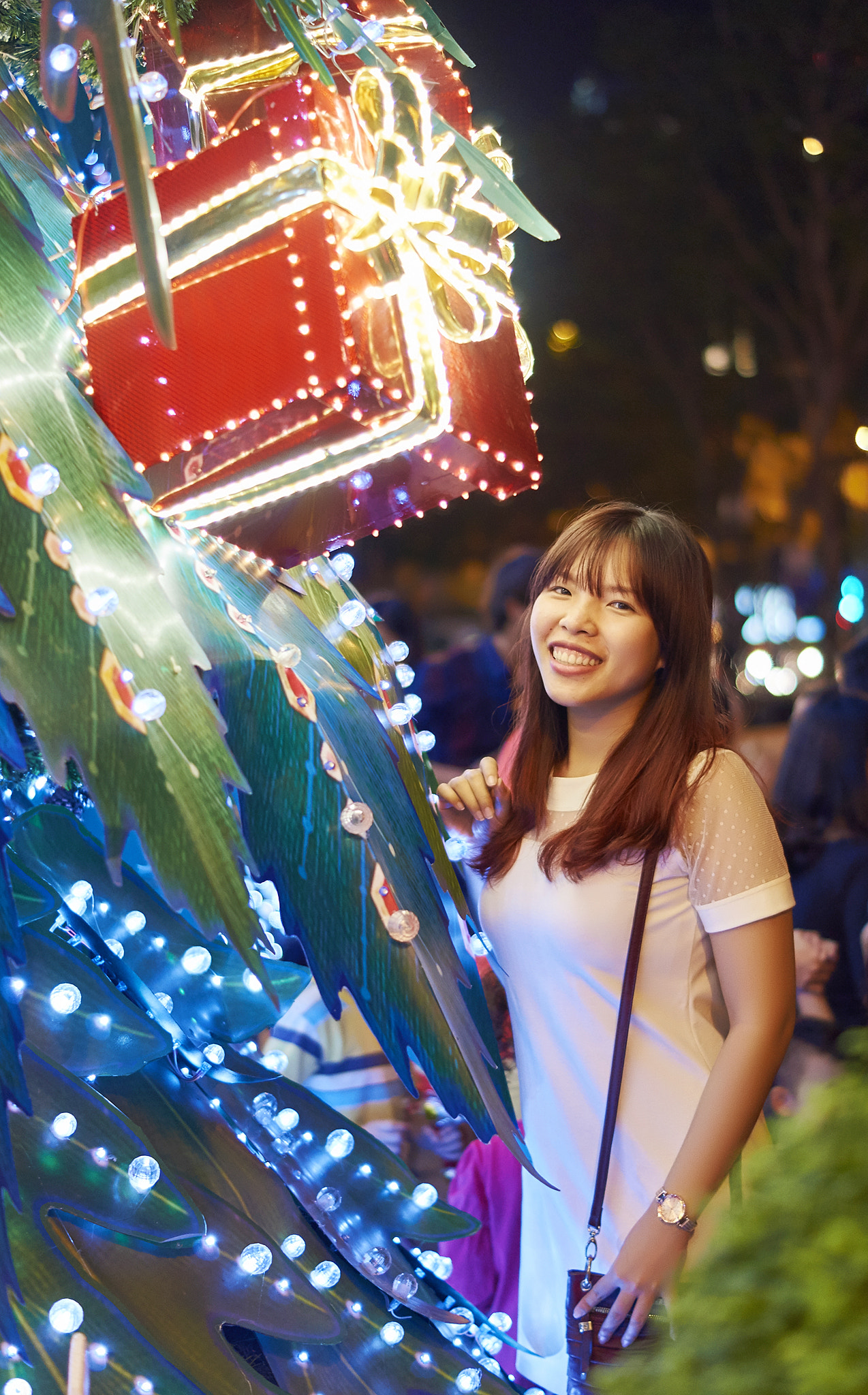 Sony SLT-A57 + Sony DT 50mm F1.8 SAM sample photo. Noel () photography