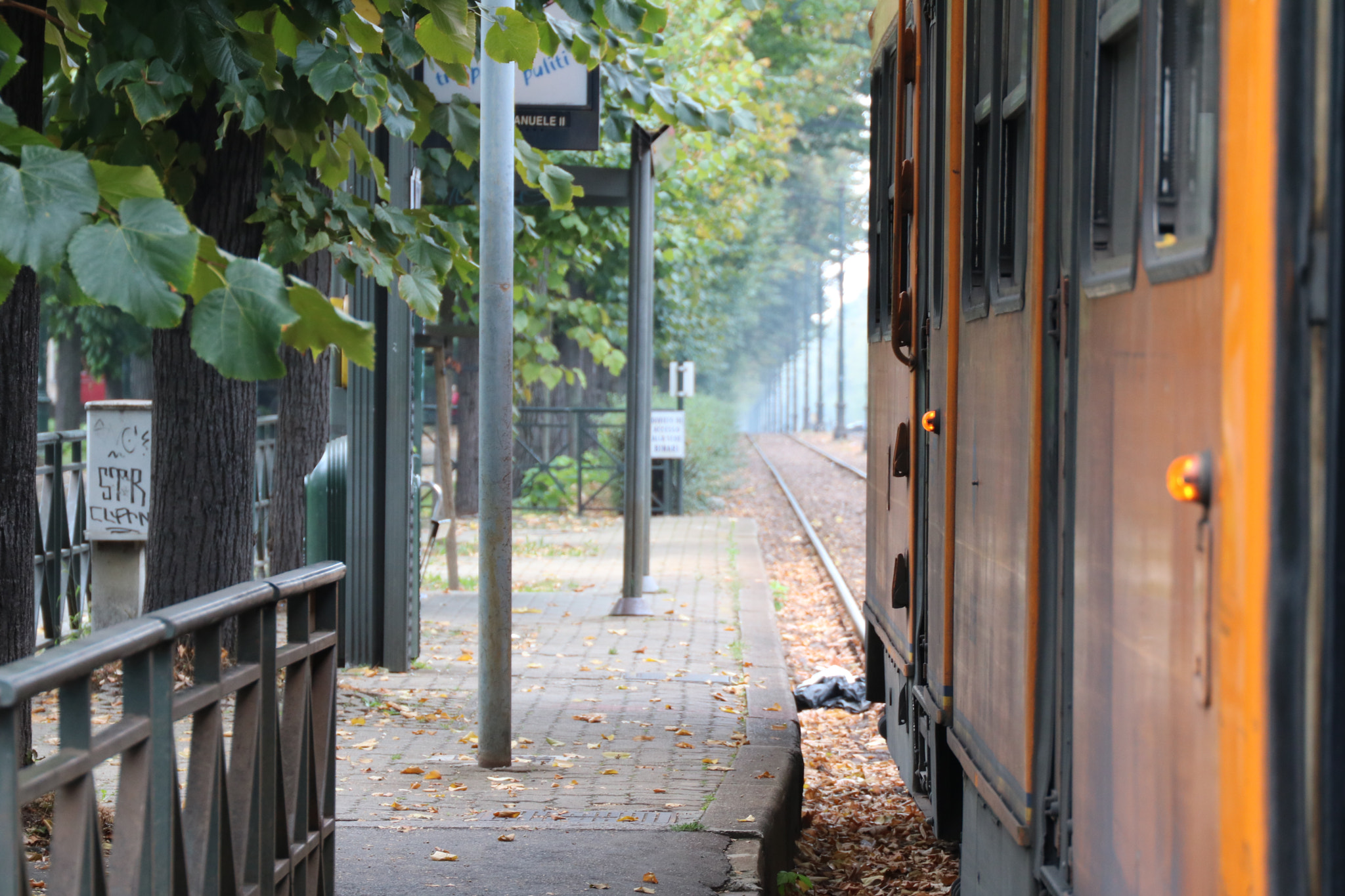 Canon EF 24-105mm F3.5-5.6 IS STM sample photo