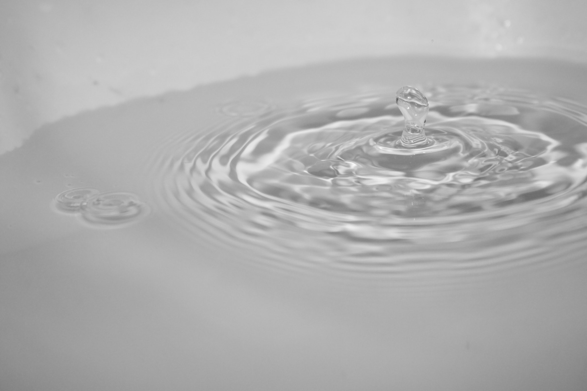 Canon EOS 50D sample photo