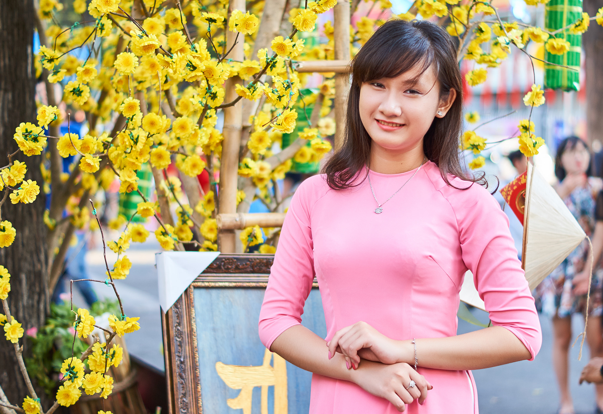 Sony SLT-A57 + Sony DT 50mm F1.8 SAM sample photo. Phuong nhi hoa () photography