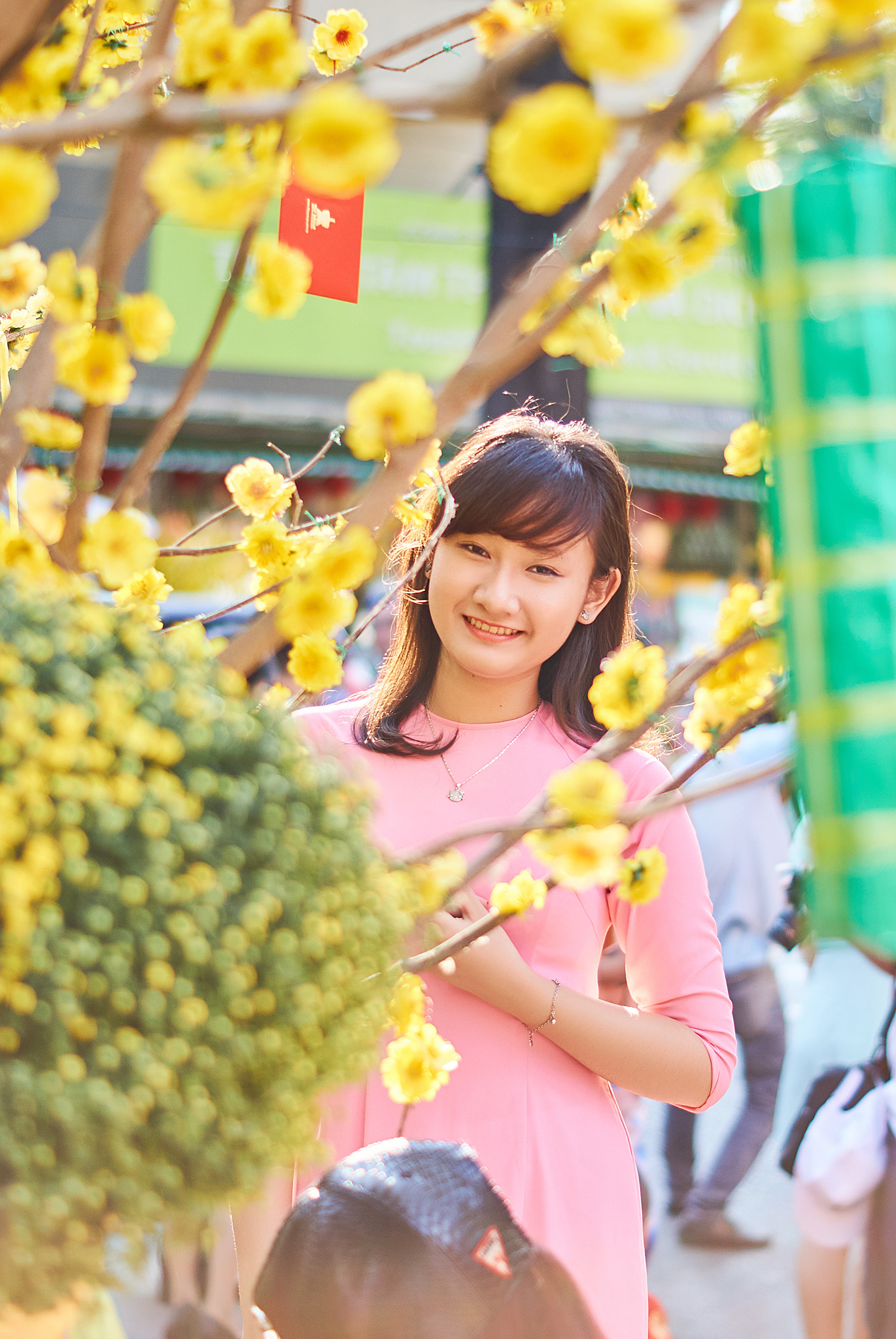 Sony SLT-A57 + Sony DT 50mm F1.8 SAM sample photo. Phuong nhi hoa () photography