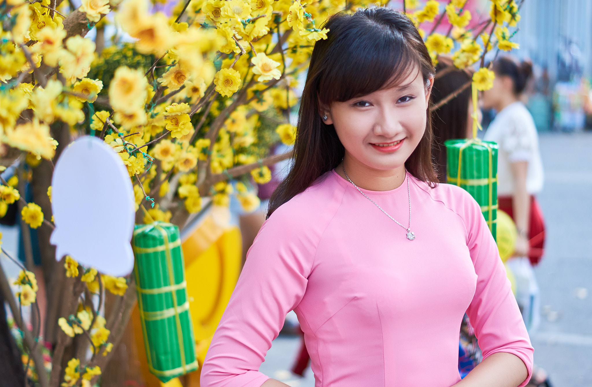 Sony SLT-A57 + Sony DT 50mm F1.8 SAM sample photo. Phuong nhi hoa () photography