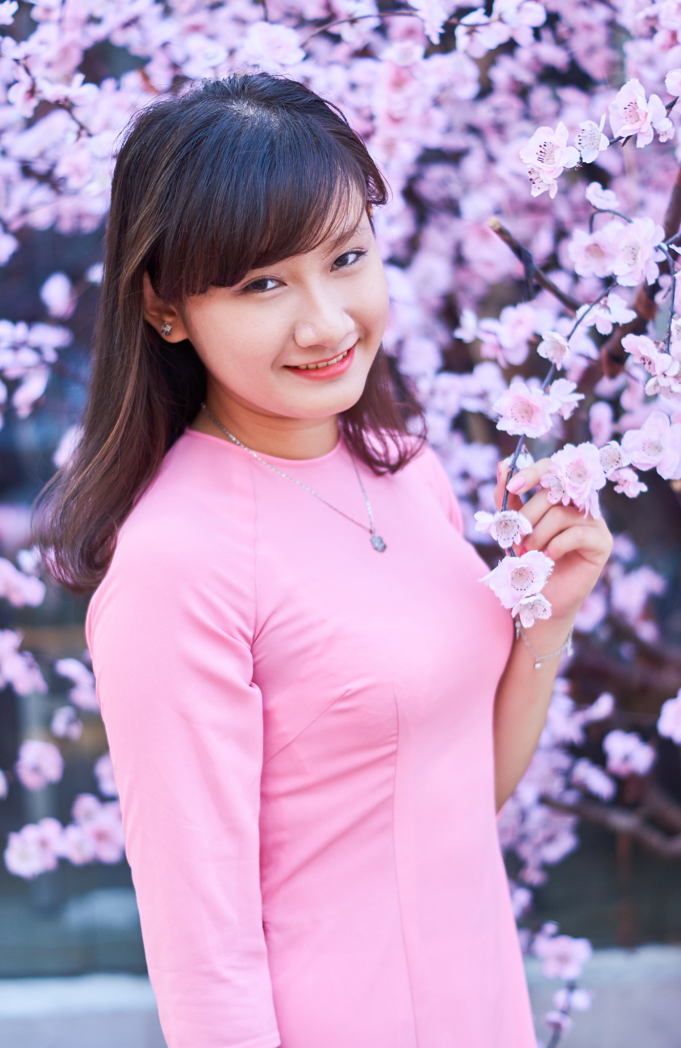 Sony SLT-A57 + Sony DT 50mm F1.8 SAM sample photo. Phuong nhi hoa () photography