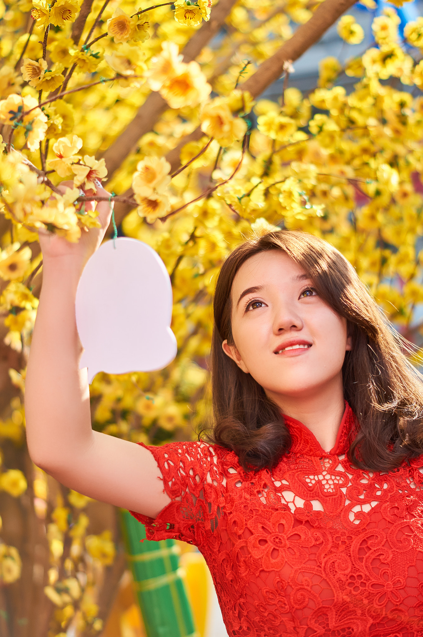 Sony SLT-A57 + Sony DT 50mm F1.8 SAM sample photo. Phuong nhi hoa () photography
