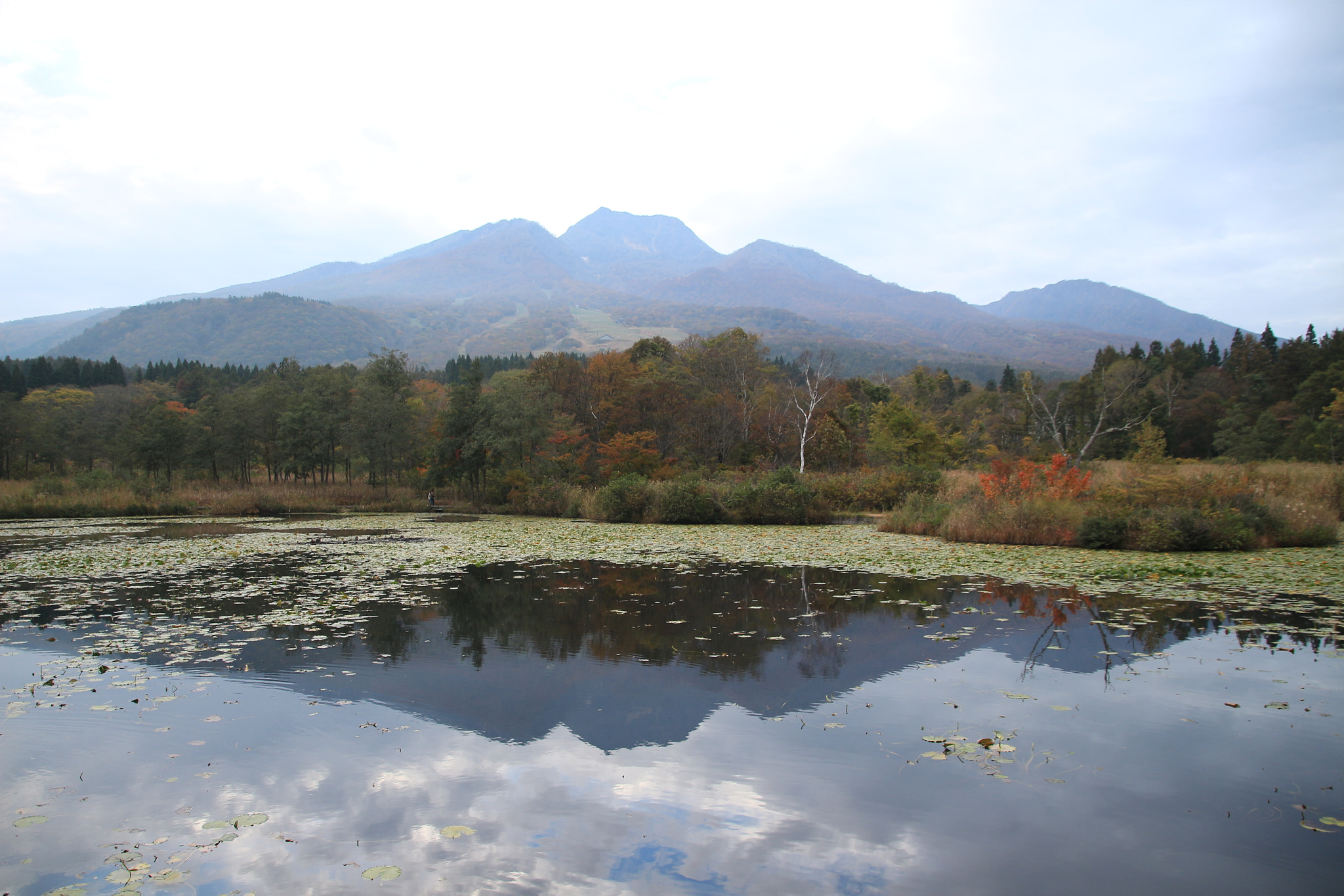 Canon EOS 650D (EOS Rebel T4i / EOS Kiss X6i) sample photo