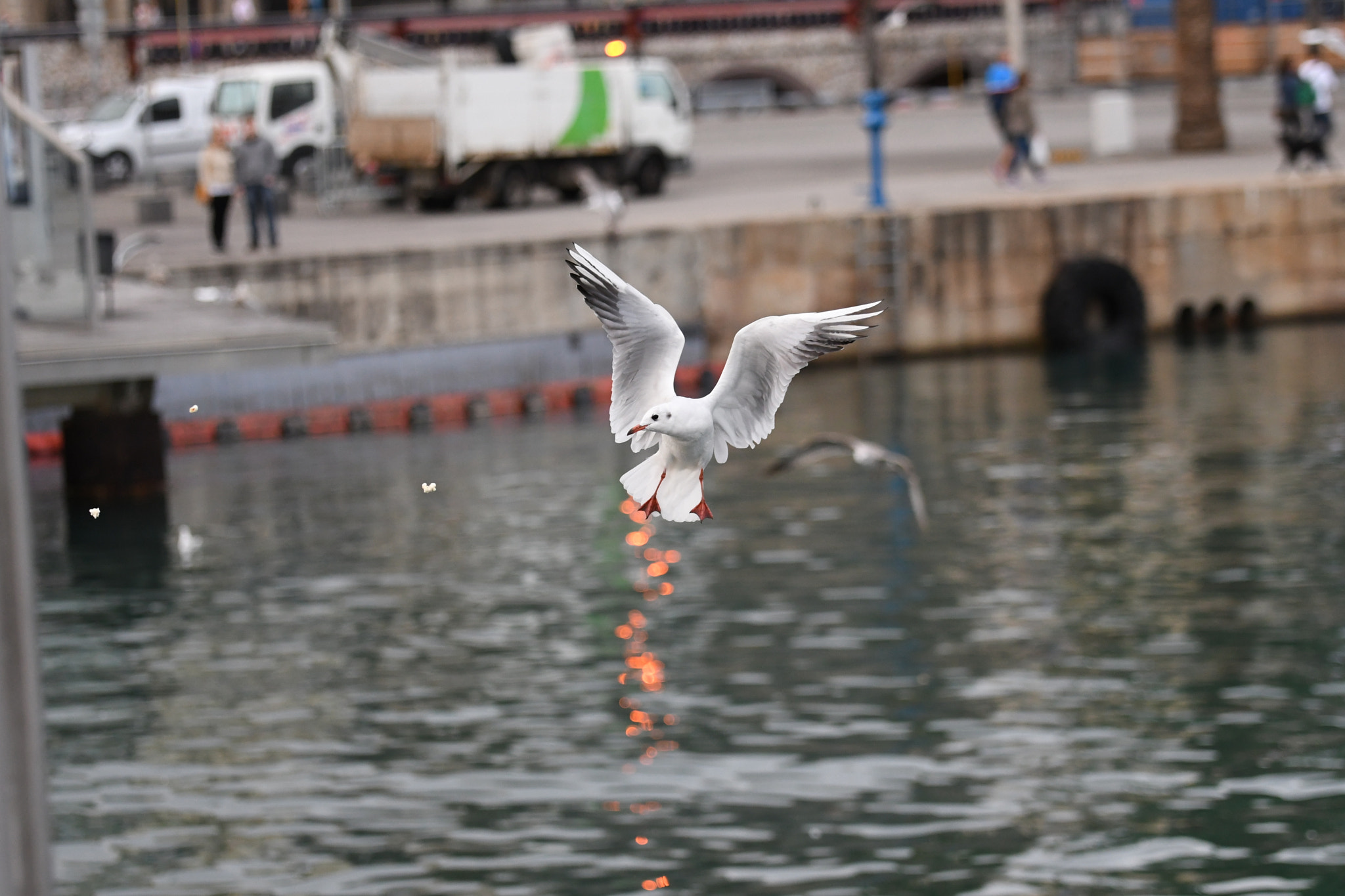 Tamron SP 70-200mm F2.8 Di VC USD sample photo. Aerobatic photography