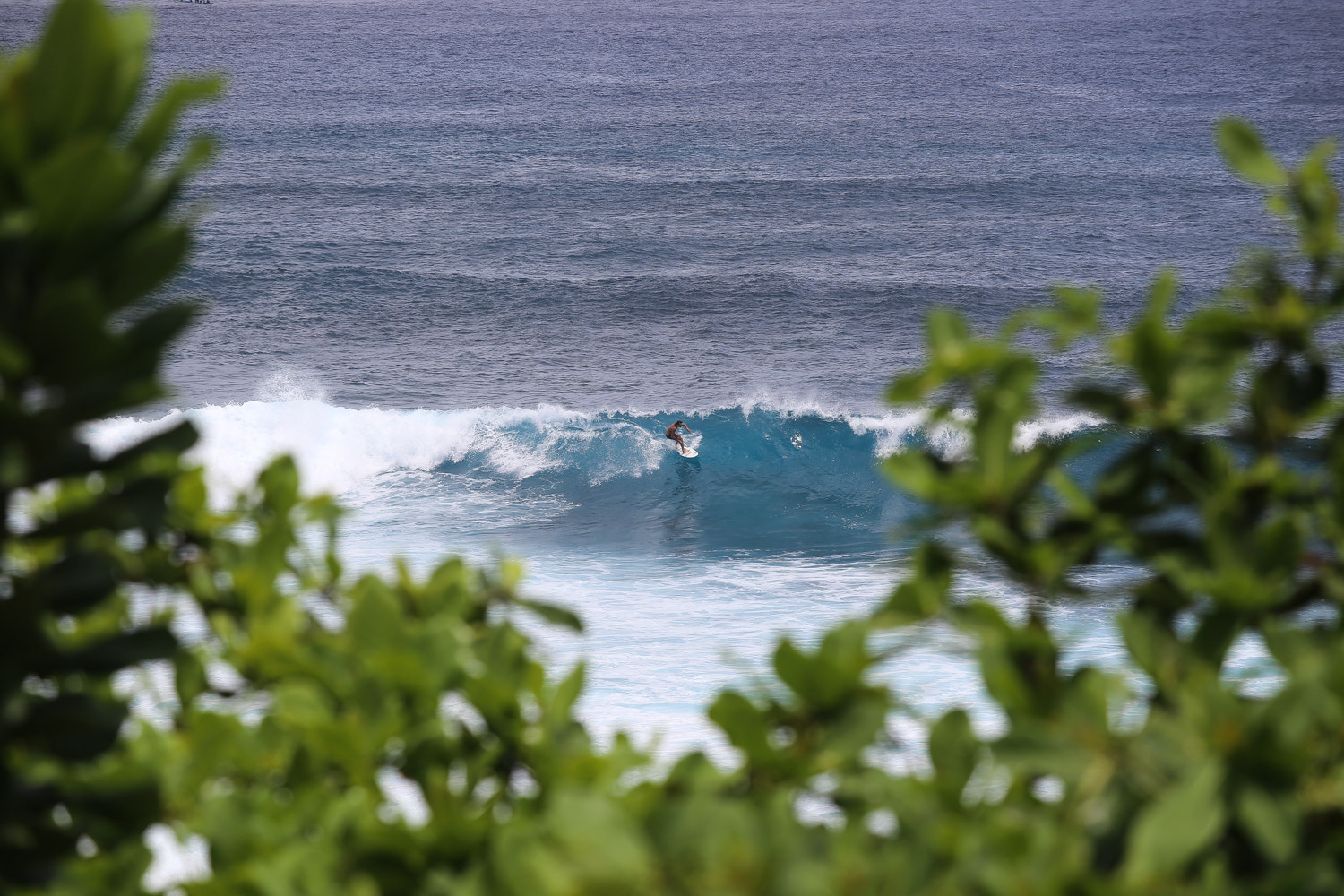 Canon EF 80-200mm f/2.8L sample photo
