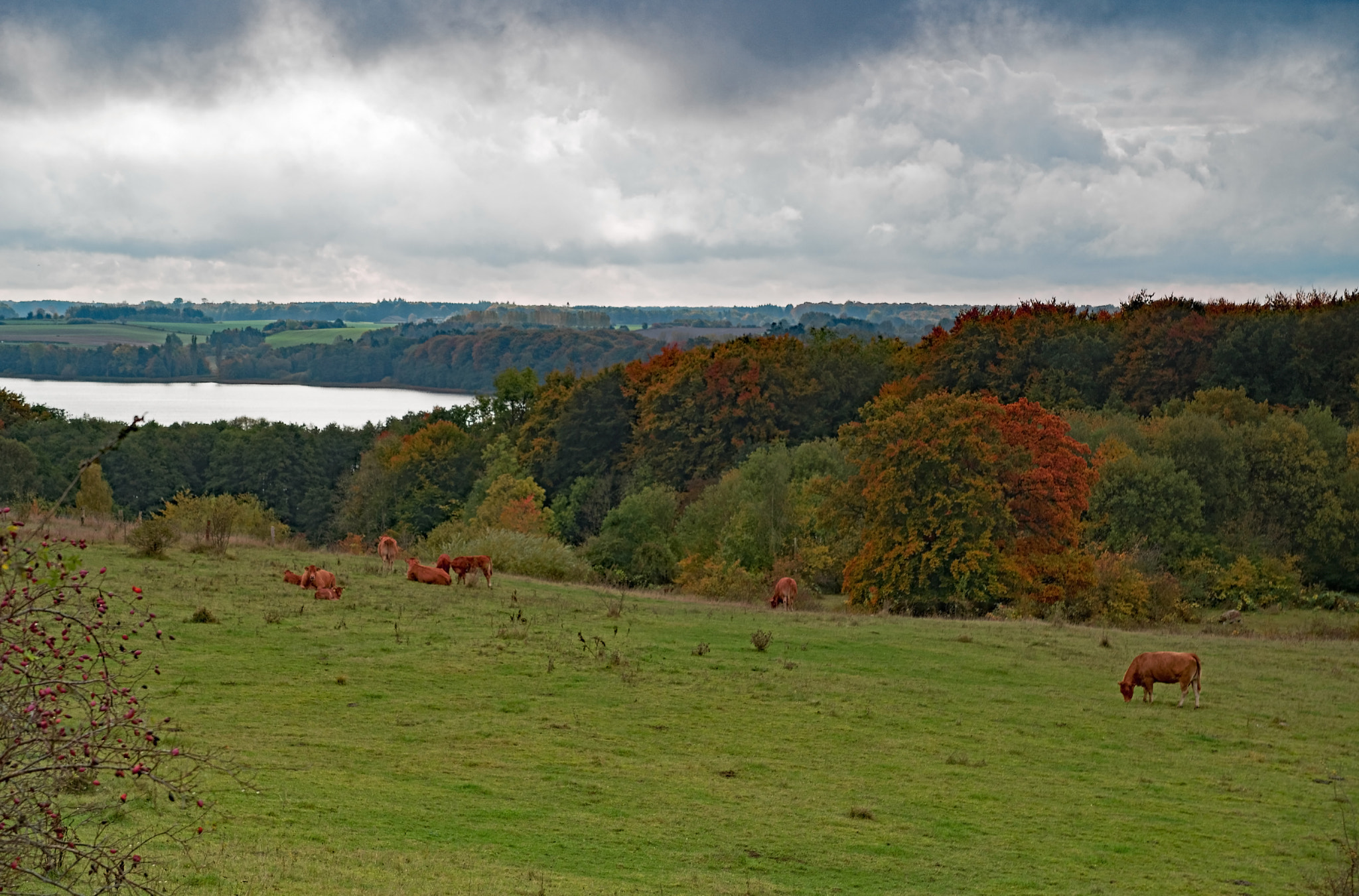 Pentax K-1 sample photo. Fall at tystrup soe photography