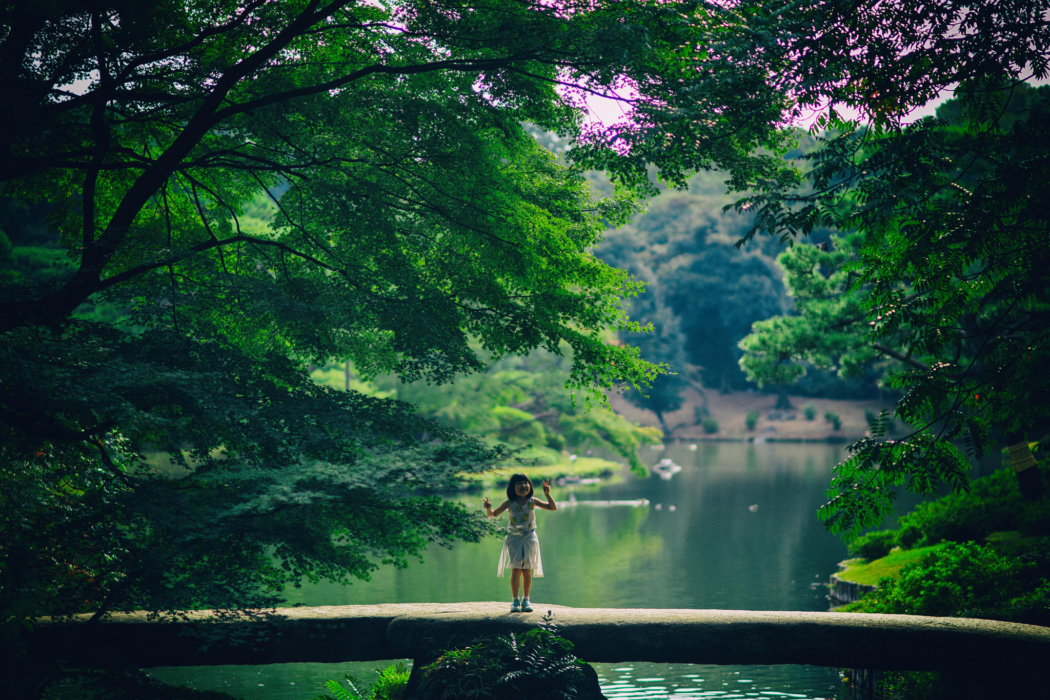 Nikon D5 + Nikon AF-S Nikkor 85mm F1.4G sample photo. Bridging the gap photography