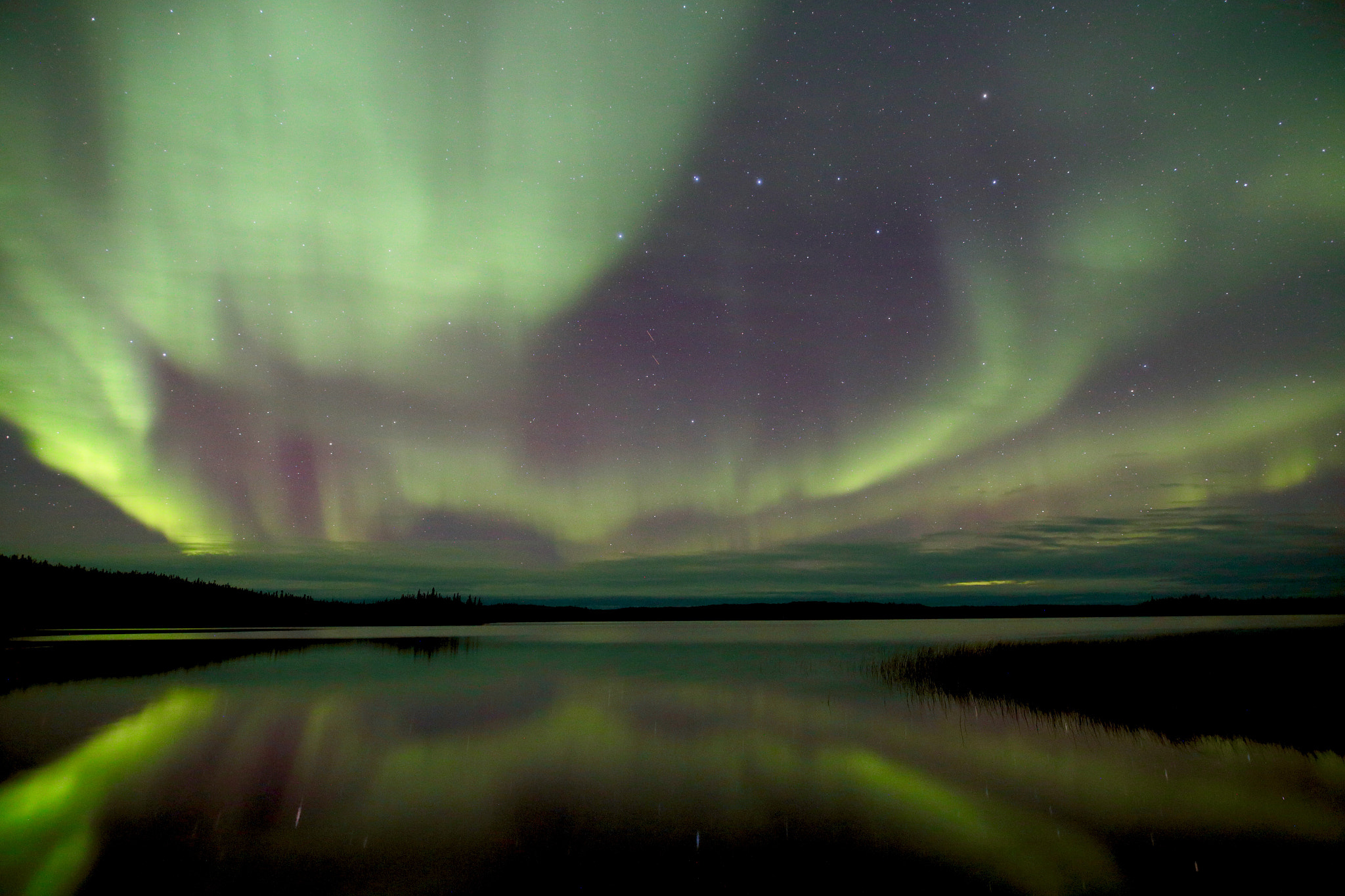Canon 20mm F1.4 DG HSM | Art 015 sample photo. Big dipper with northern lights photography