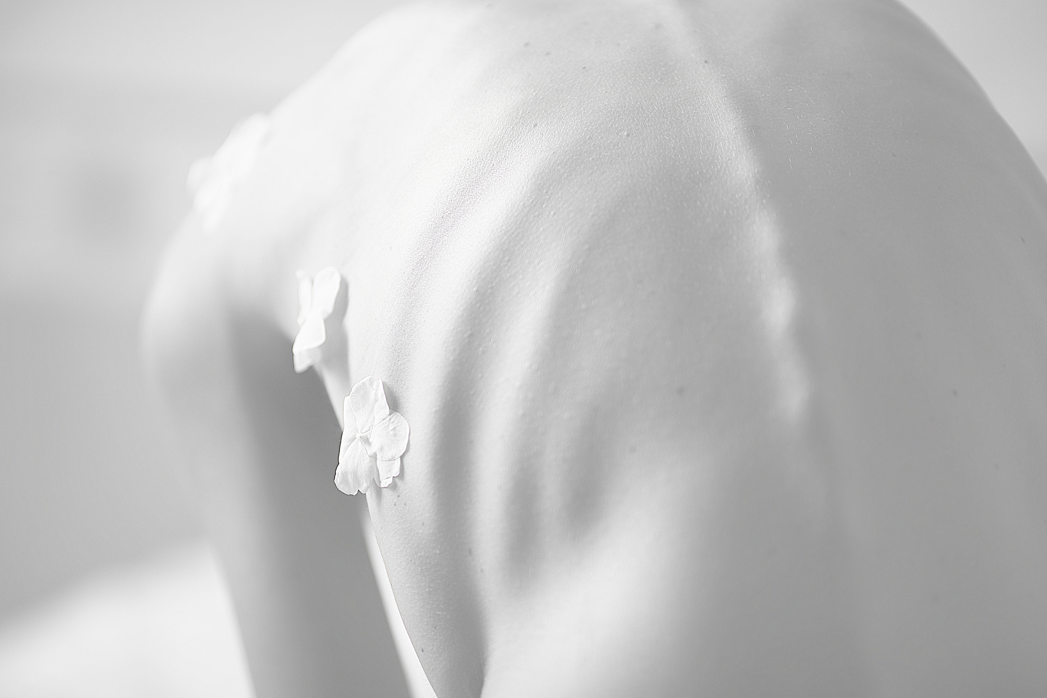 Canon EOS 5DS R + Canon EF 135mm F2L USM sample photo. Thinness photography