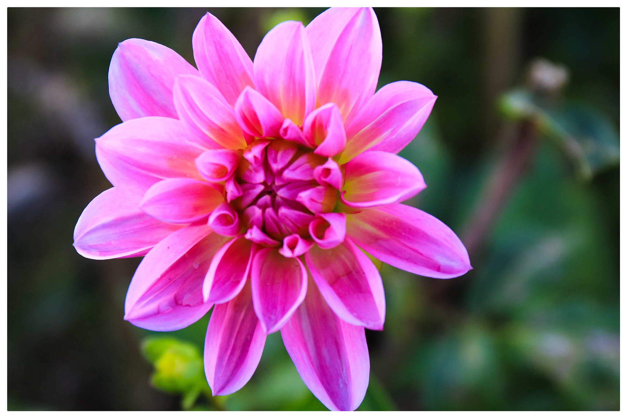 Canon EF 24-70mm F4L IS USM sample photo
