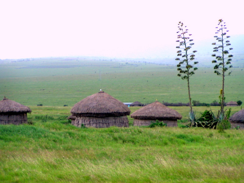KONICA MINOLTA DiMAGE Z1 sample photo. Tanzanie - village masaï photography