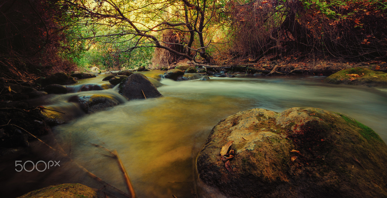 Samyang 14mm F2.8 ED AS IF UMC sample photo. In the river of photography