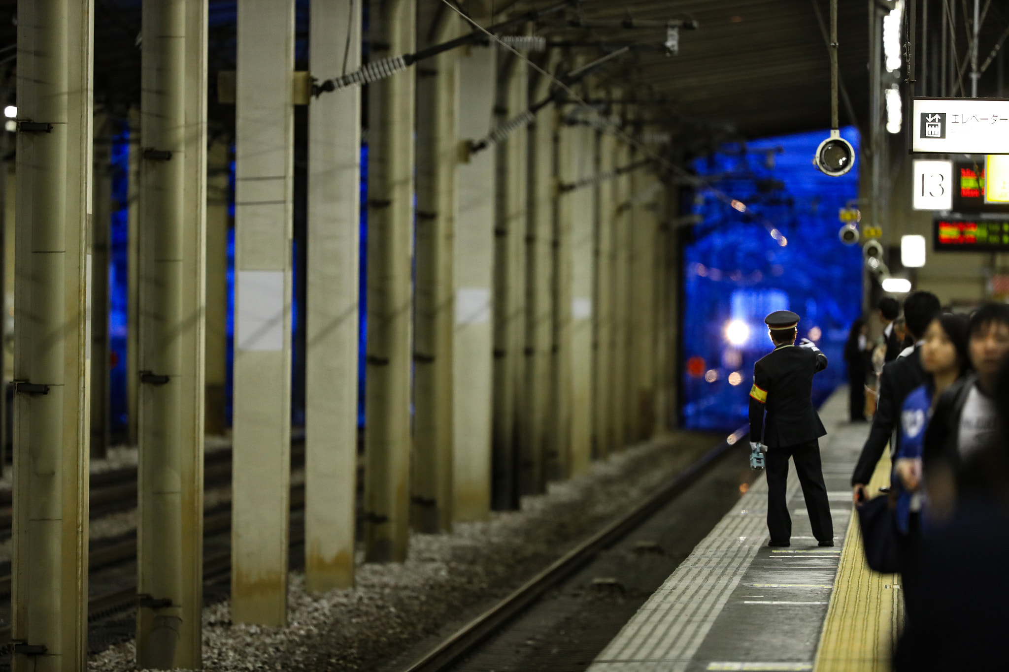 Canon EOS-1D X Mark II + Canon EF 200-400mm F4L IS USM Extender 1.4x sample photo. ブルーノート photography