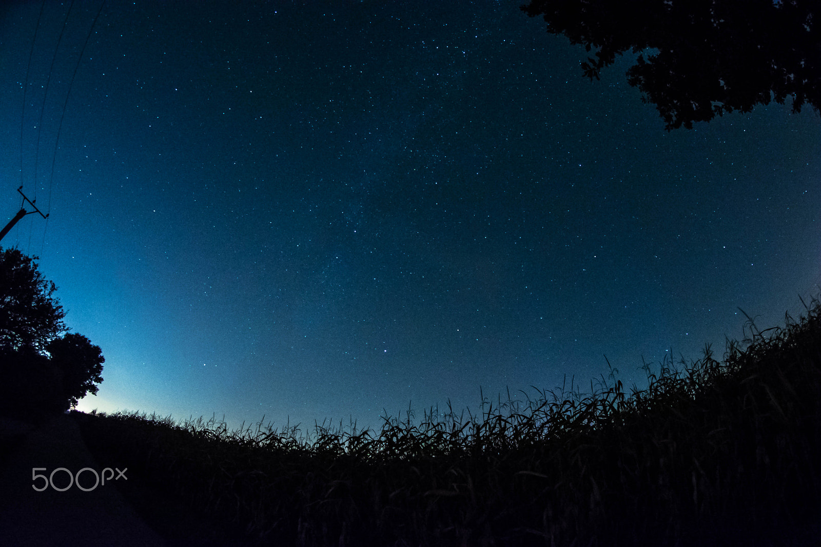 Nikon D5200 + Samyang 8mm F3.5 Aspherical IF MC Fisheye sample photo. Shine photography