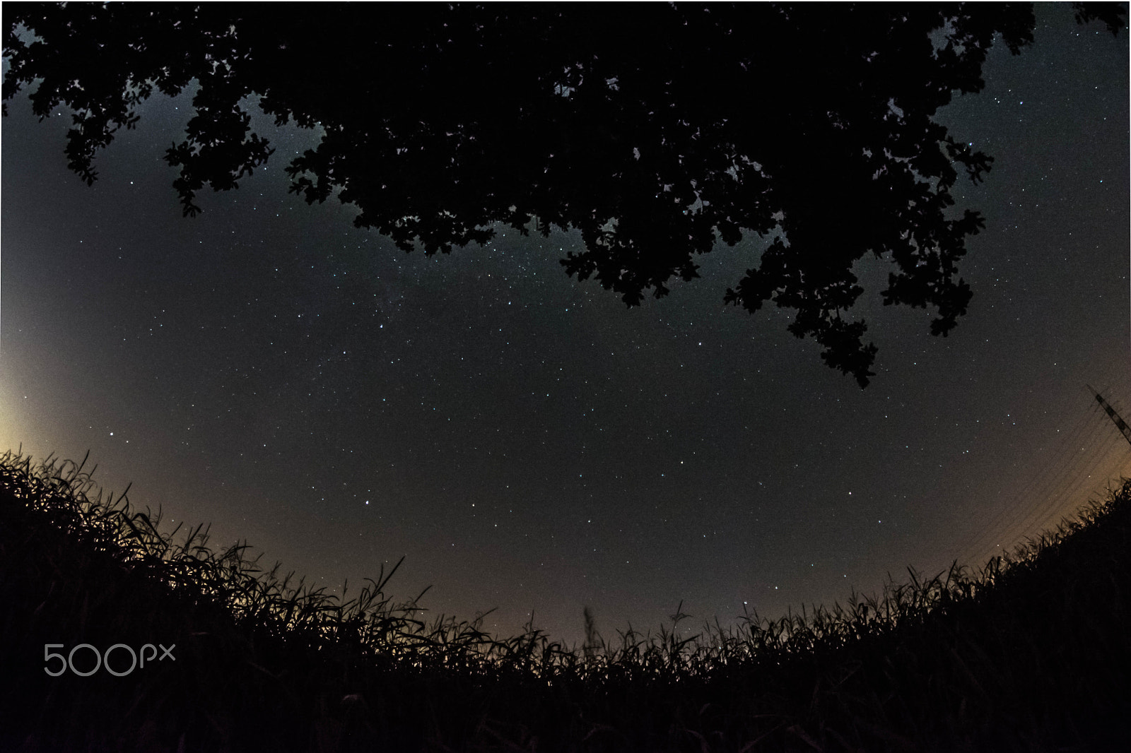 Nikon D5200 + Samyang 8mm F3.5 Aspherical IF MC Fisheye sample photo. A night full of stars photography